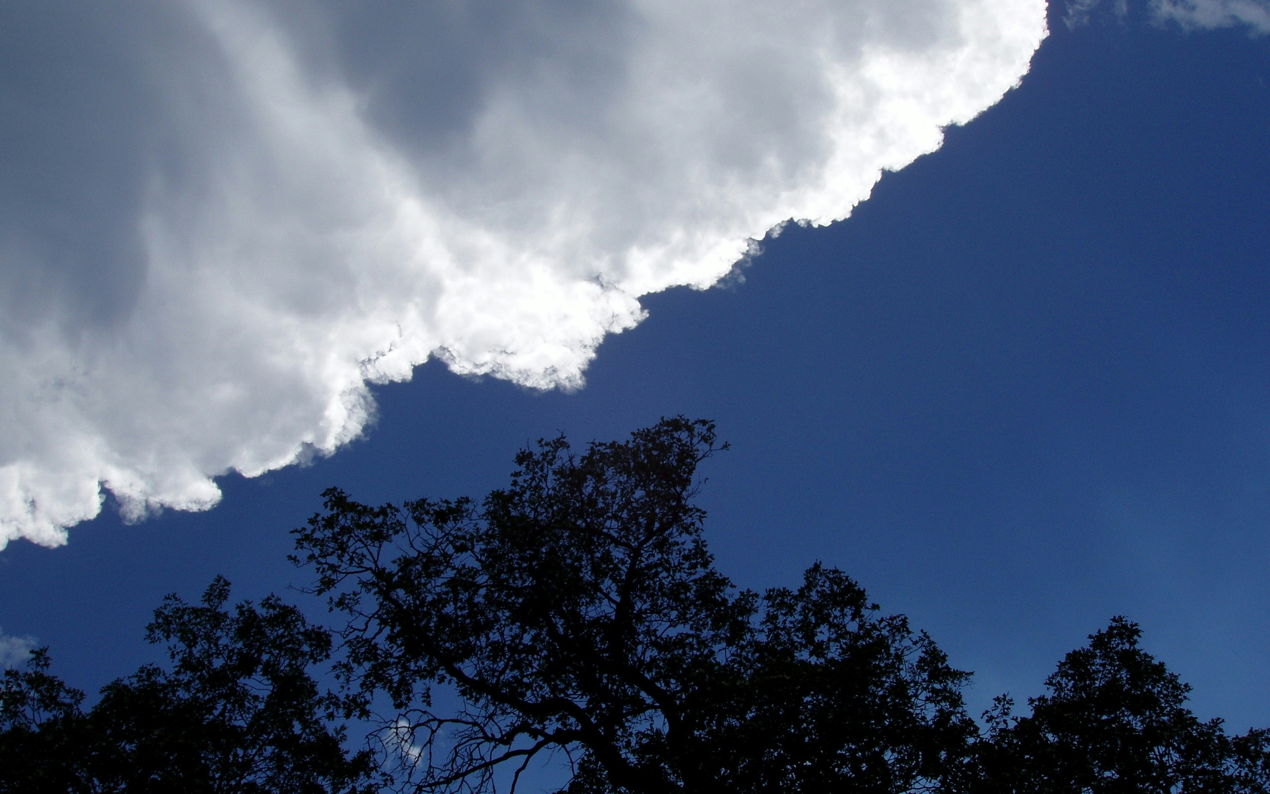 Free Unsplash photo from Jim Walker