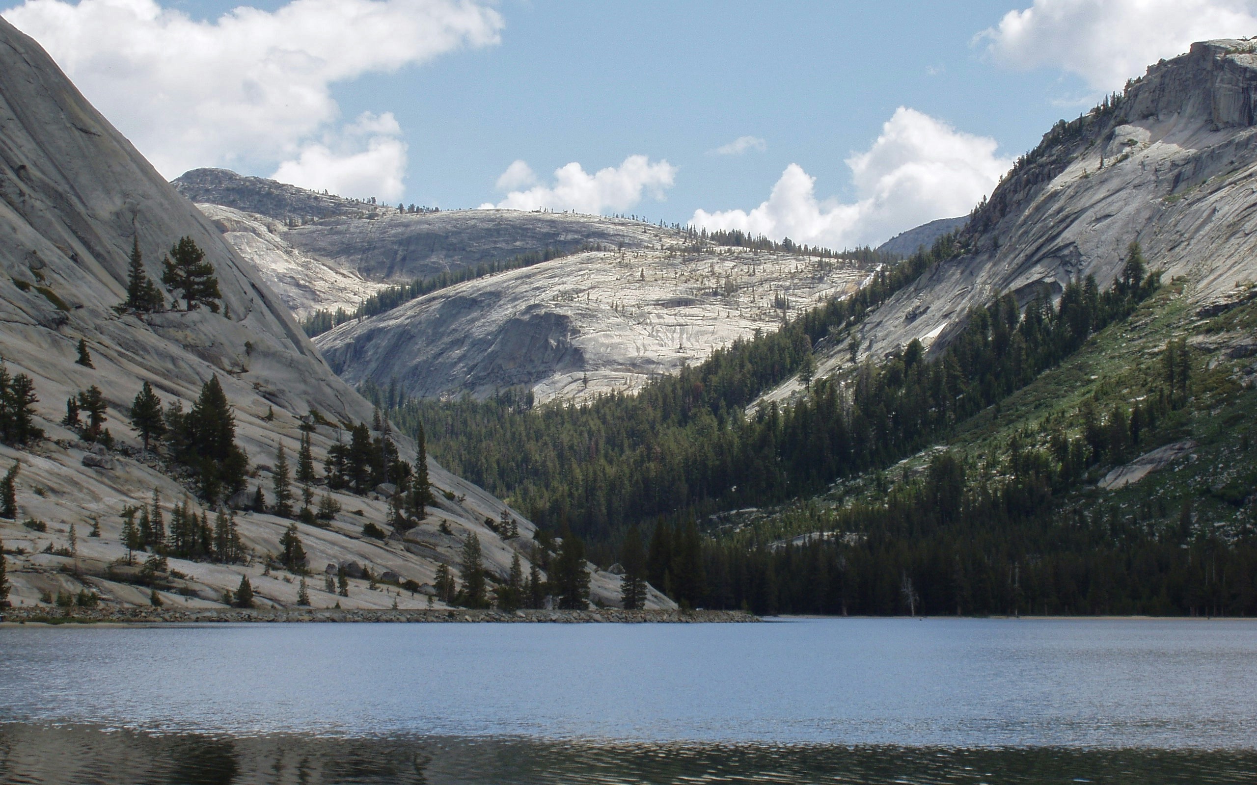 Free Unsplash photo from Jim Walker