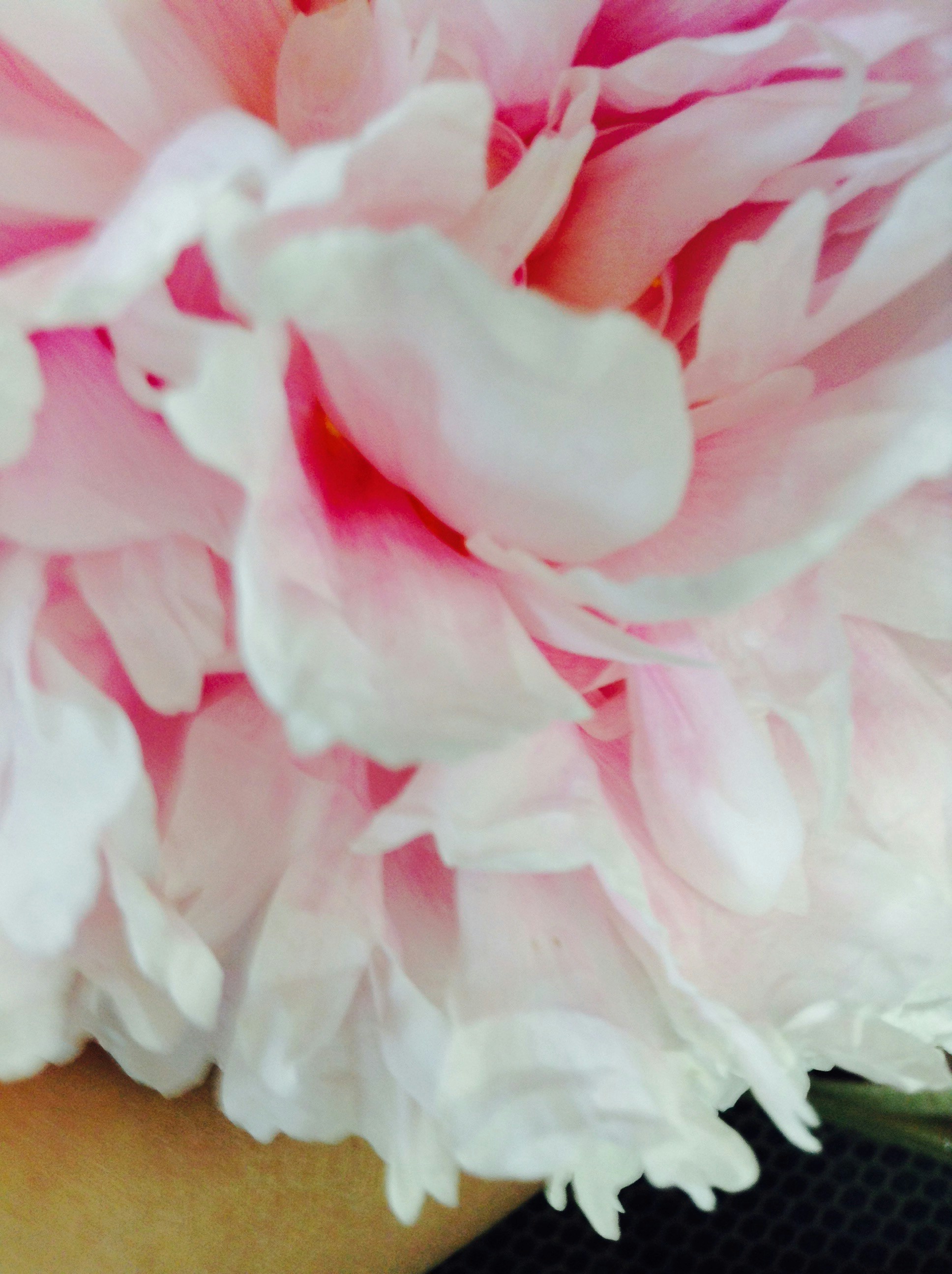 Free Unsplash photo from annabelle benner