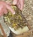 A close-up view of a beekeeper's hands holding a wooden frame filled with bees and honeycomb. The honeycomb is partially covered with bees busily working. The background is blurred with natural elements, likely outdoors.