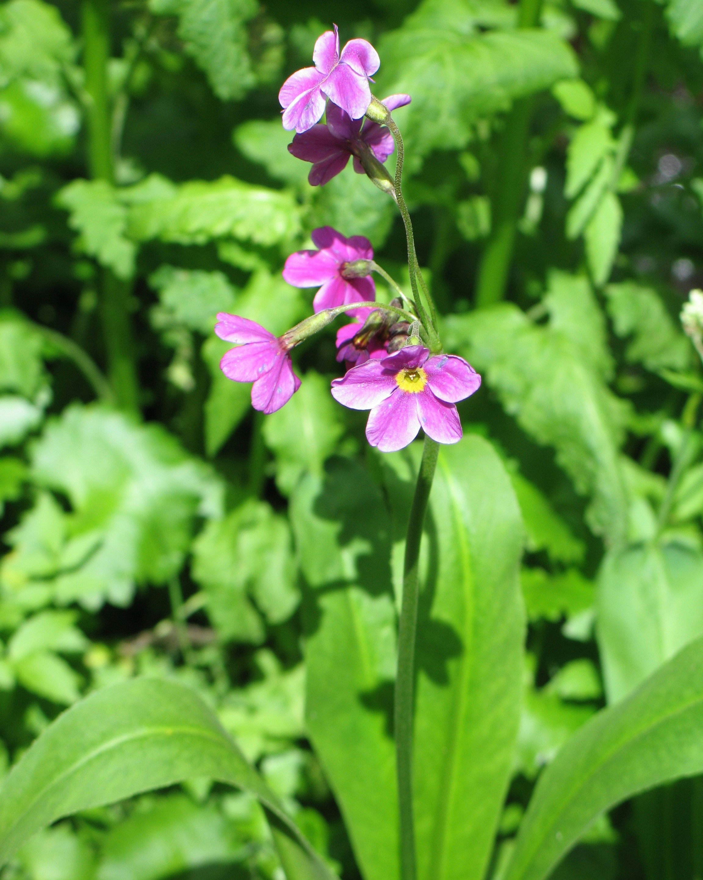 Free Unsplash photo from Jim Walker