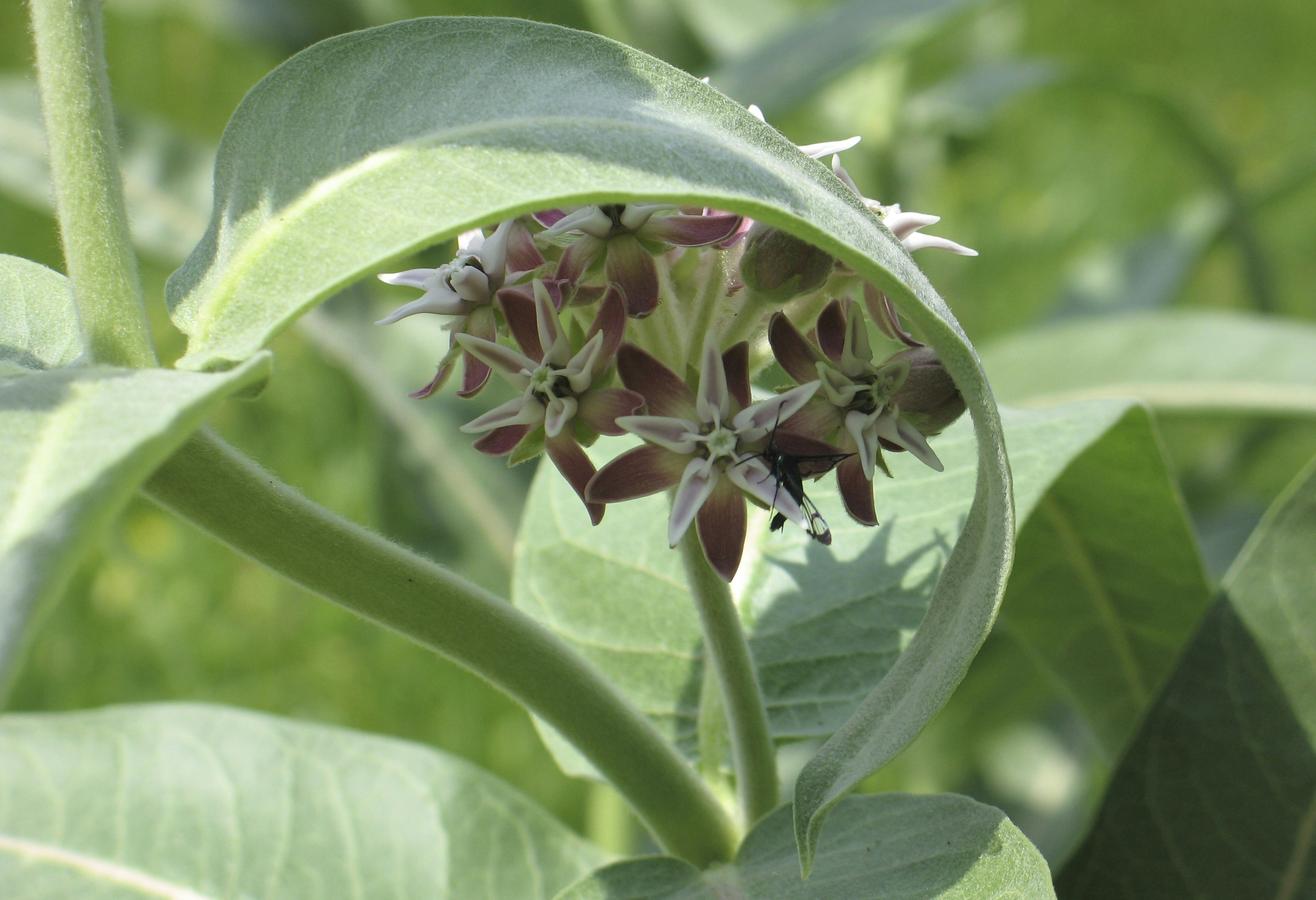 Free Unsplash photo from Jim Walker