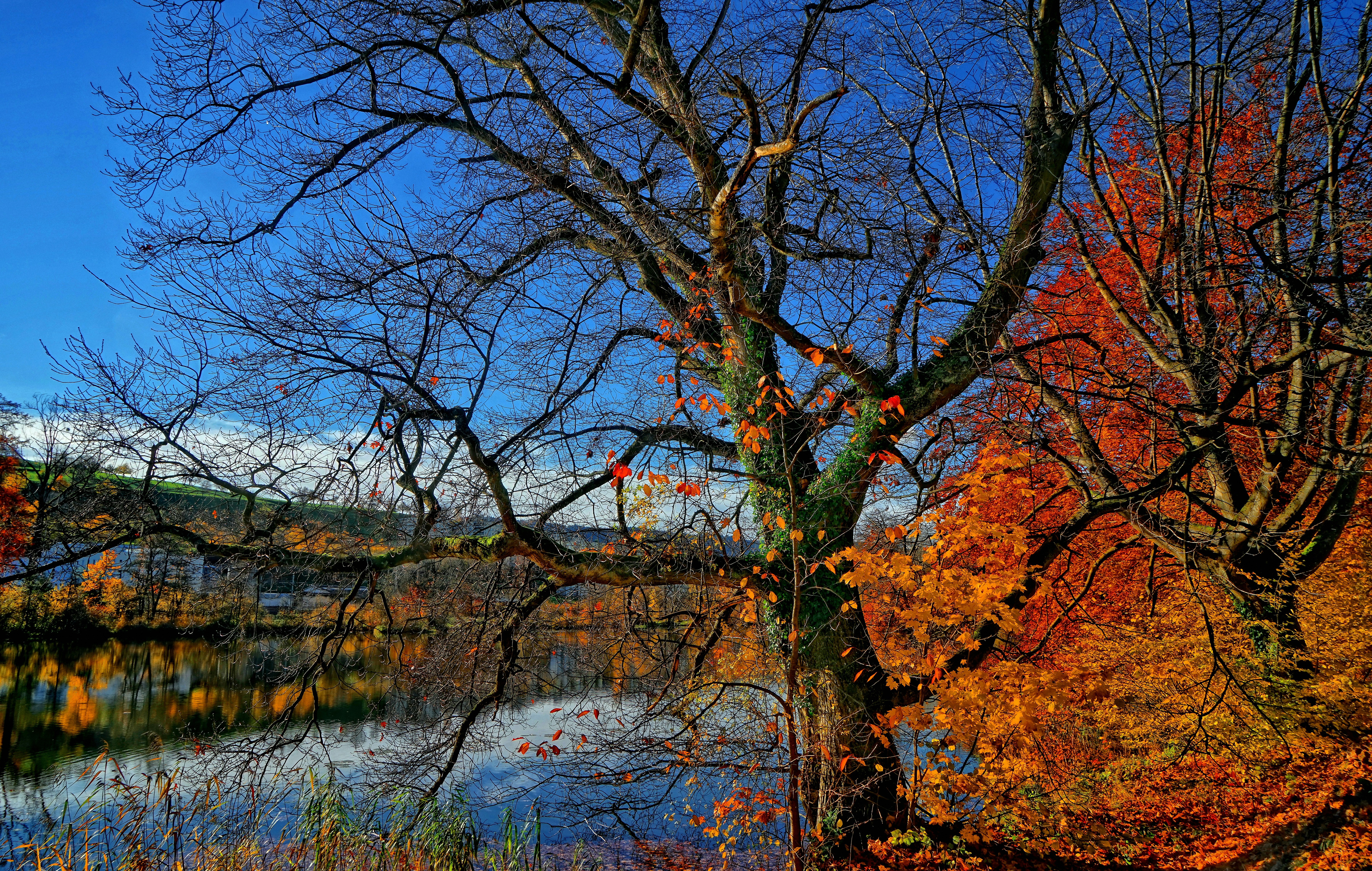 Free Unsplash photo from Ricardo Gomez Angel