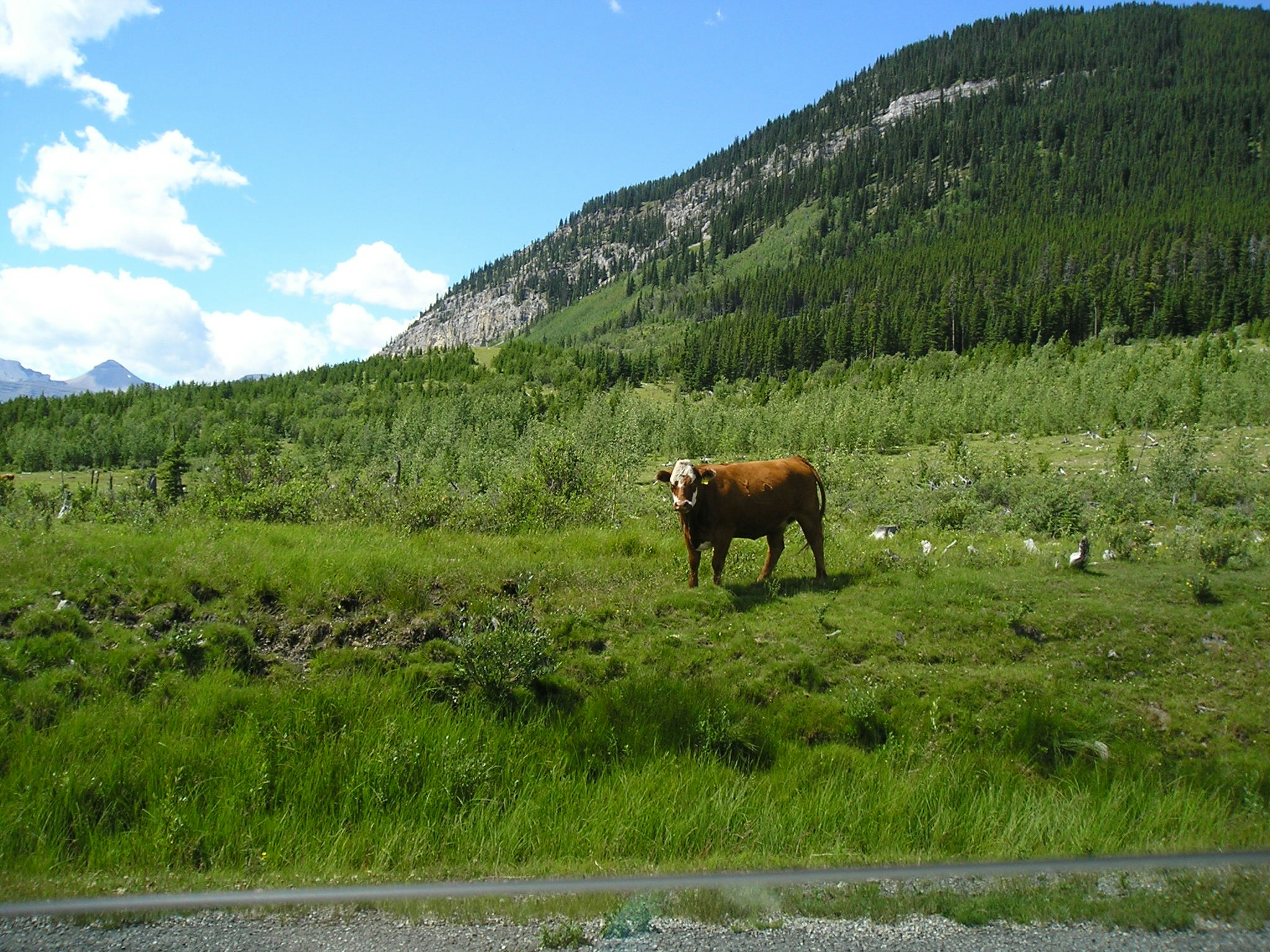 Free Unsplash photo from Alethea Lewis