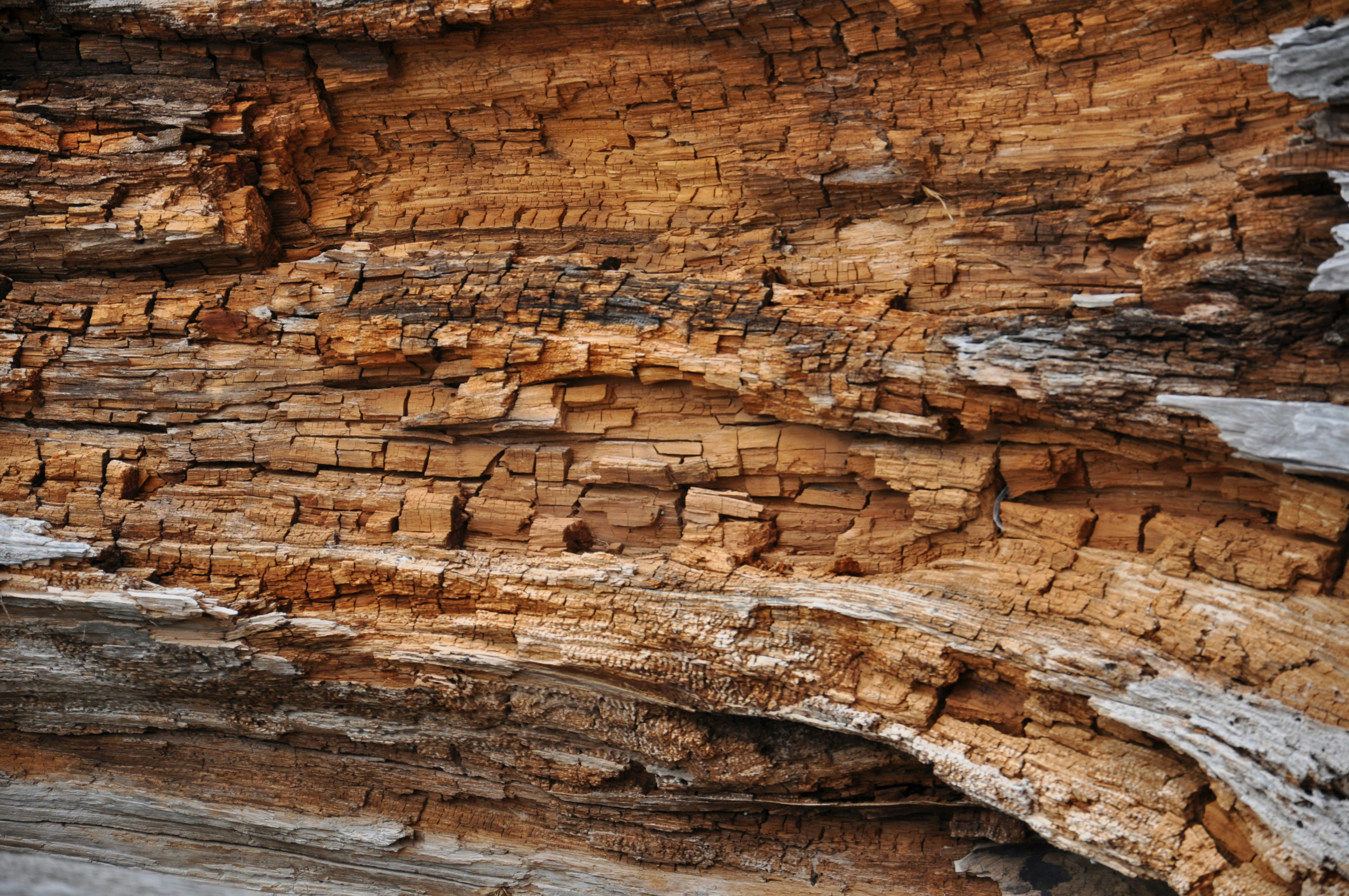 Free Unsplash photo from Alethea Lewis