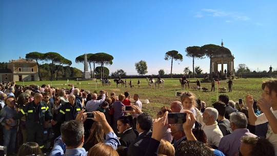 A large crowd of people is gathered in a grassy area with a few trees and a small building in the background. Several people are taking photos with their phones. In the distance, a group of horses and handlers are present, along with a flock of sheep. The bright blue sky and sunlight indicate a clear day.