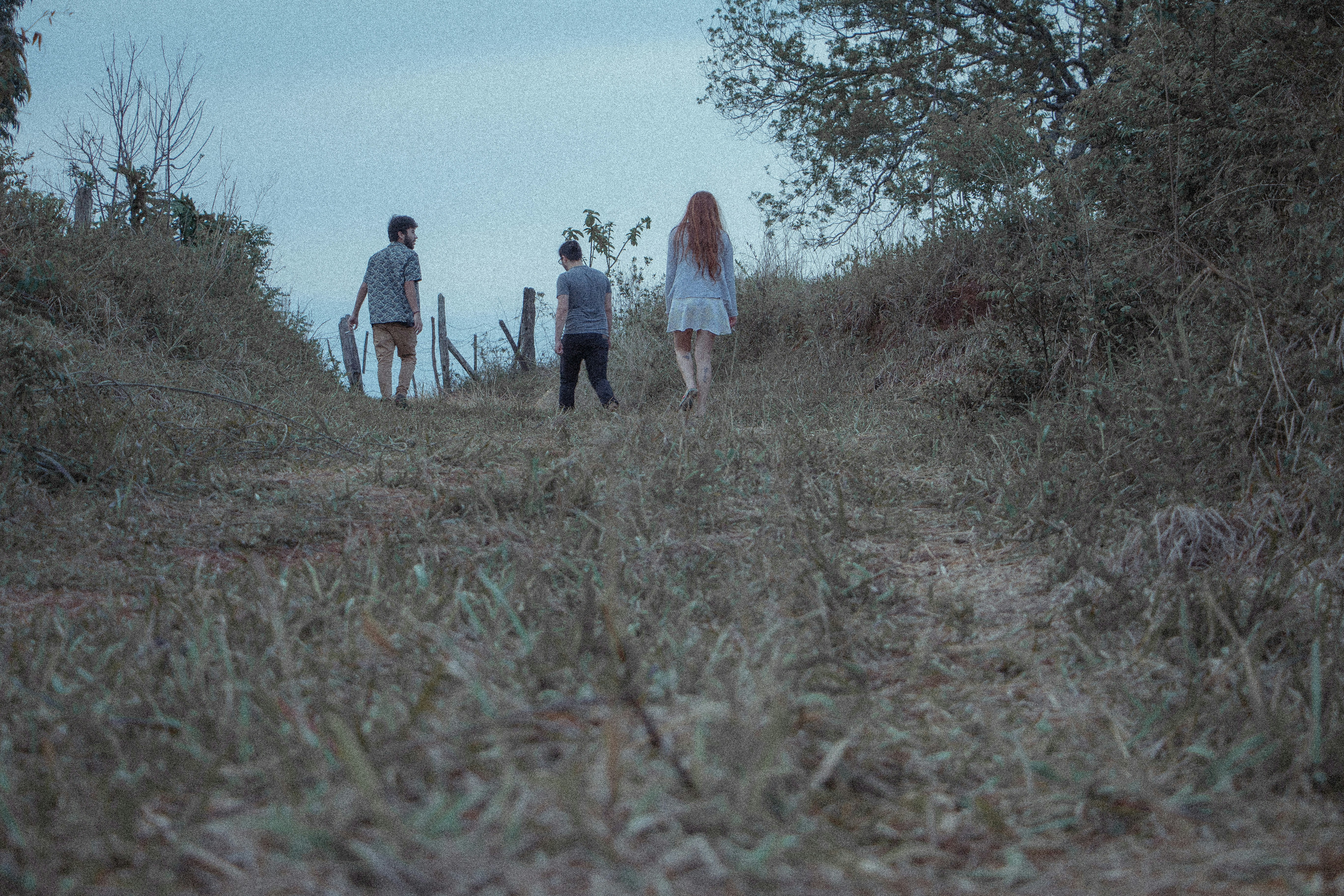 Free Unsplash photo from Guilherme Cavichioli