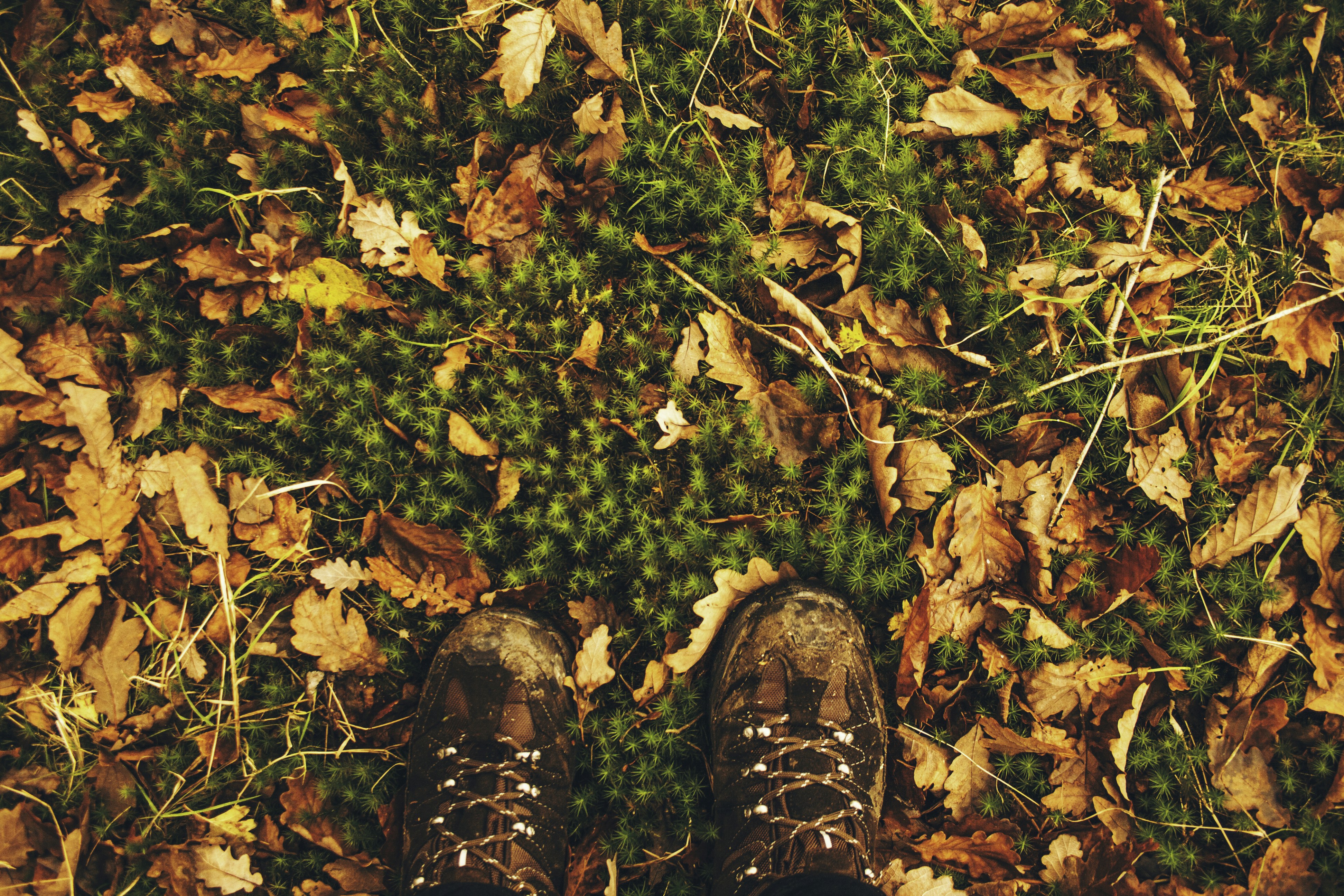 Free Unsplash photo from Elliott Hawkins