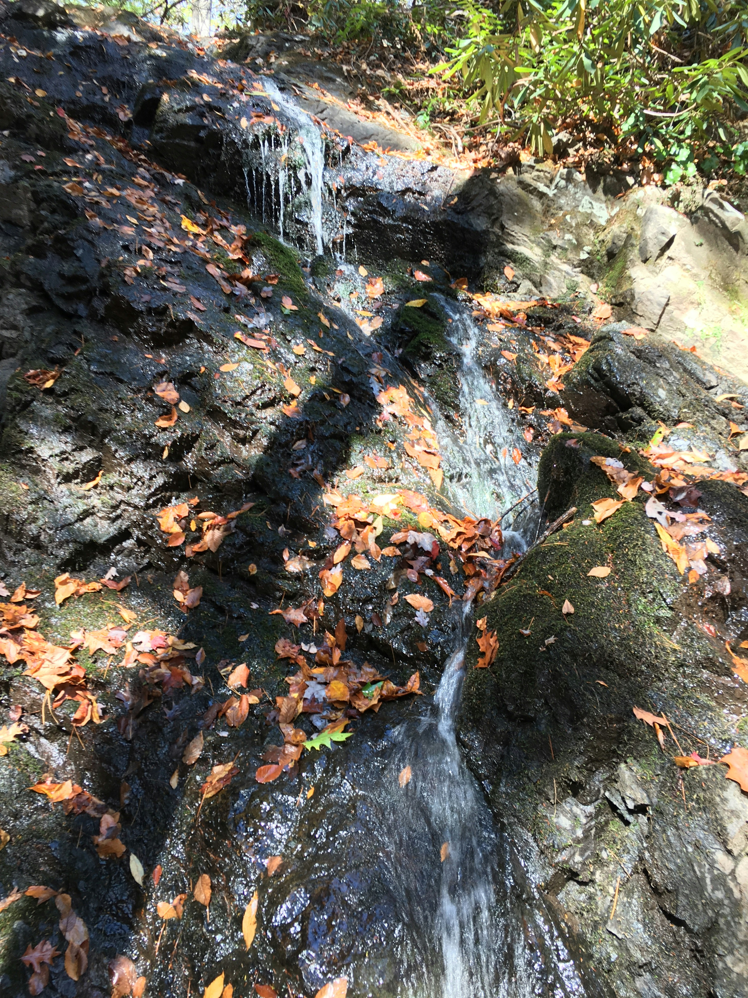 Free Unsplash photo from Neel Reddy