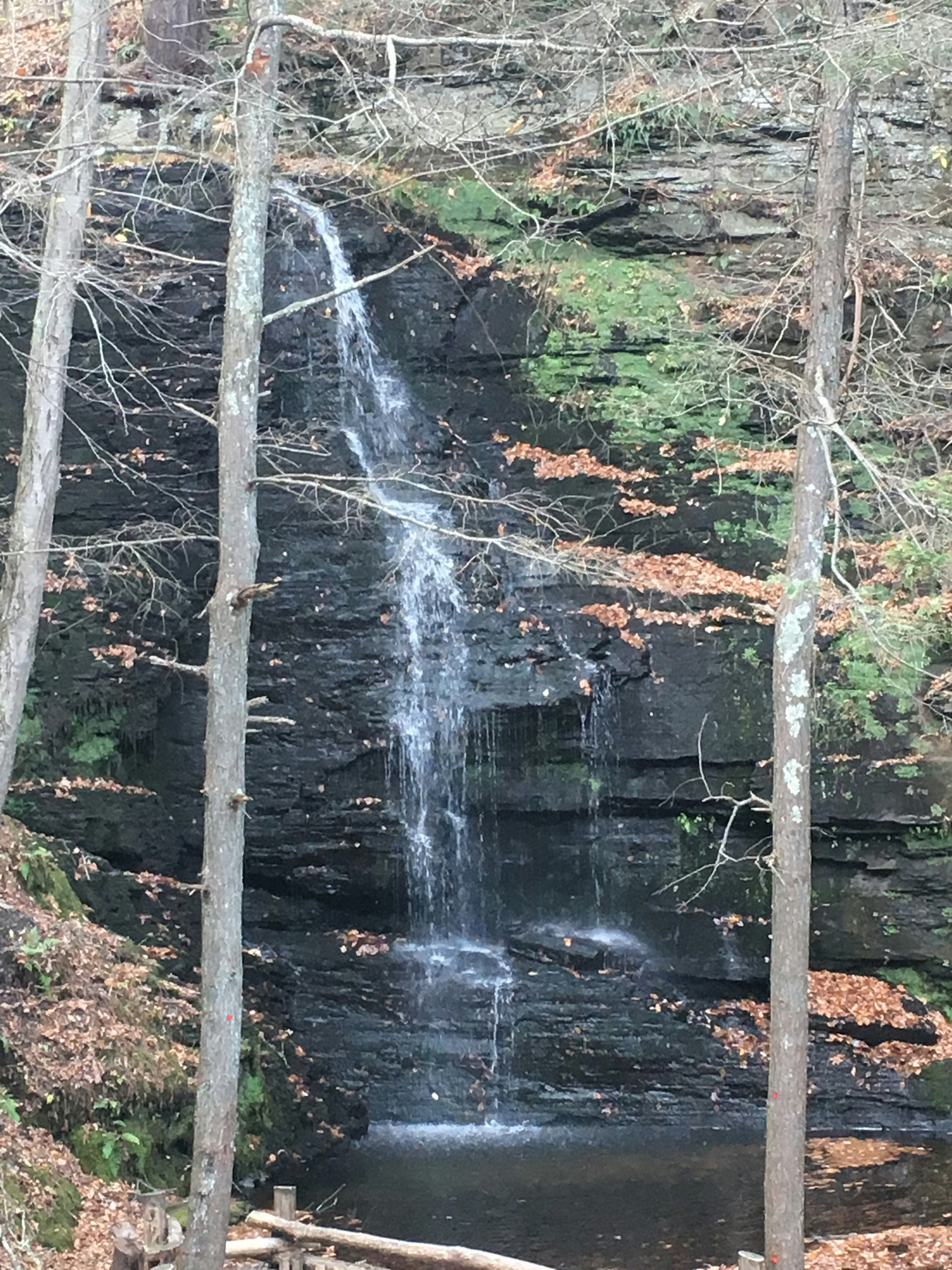 Free Unsplash photo from Johnsie Cogman