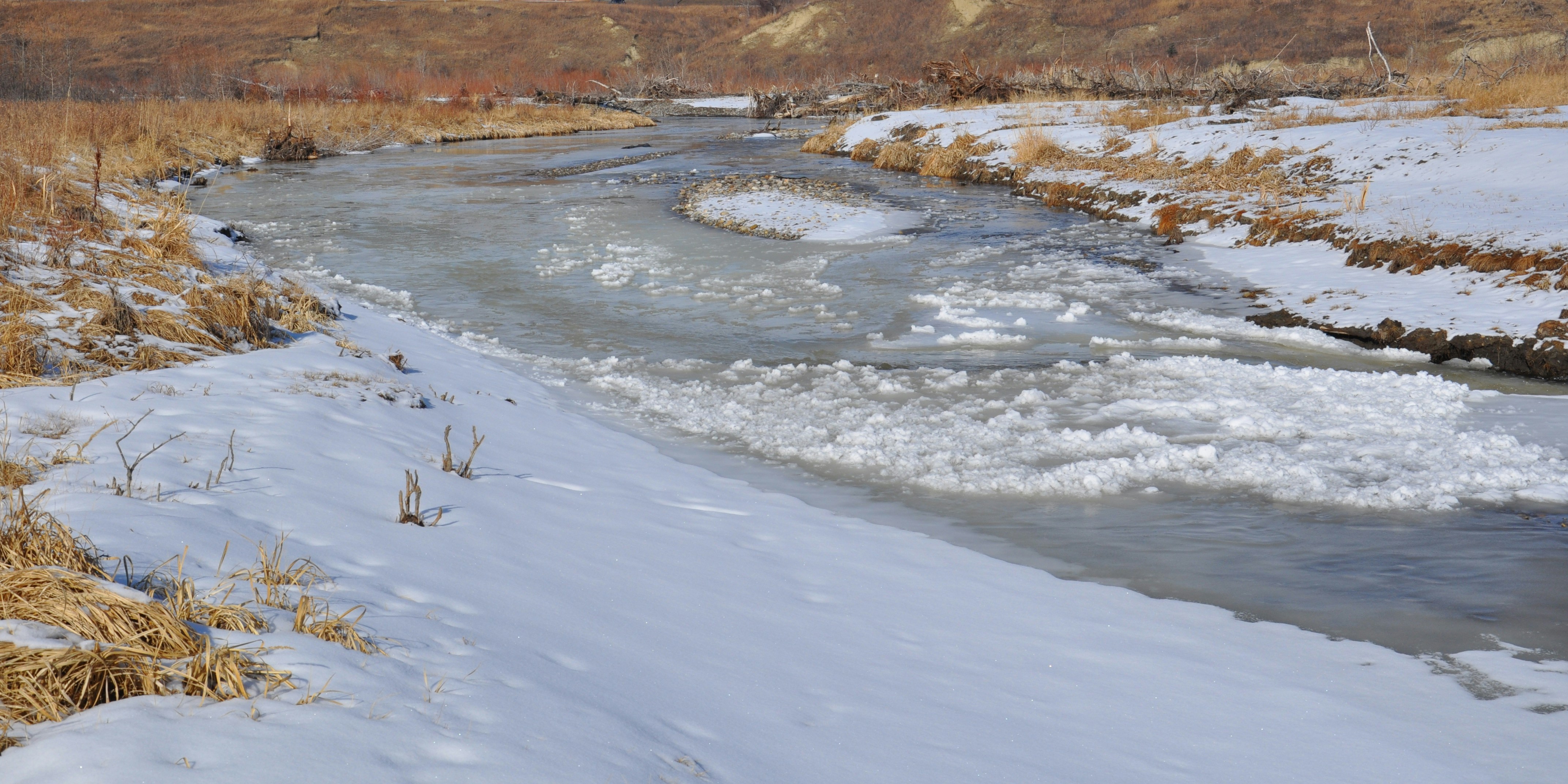 Free Unsplash photo from Alethea Lewis