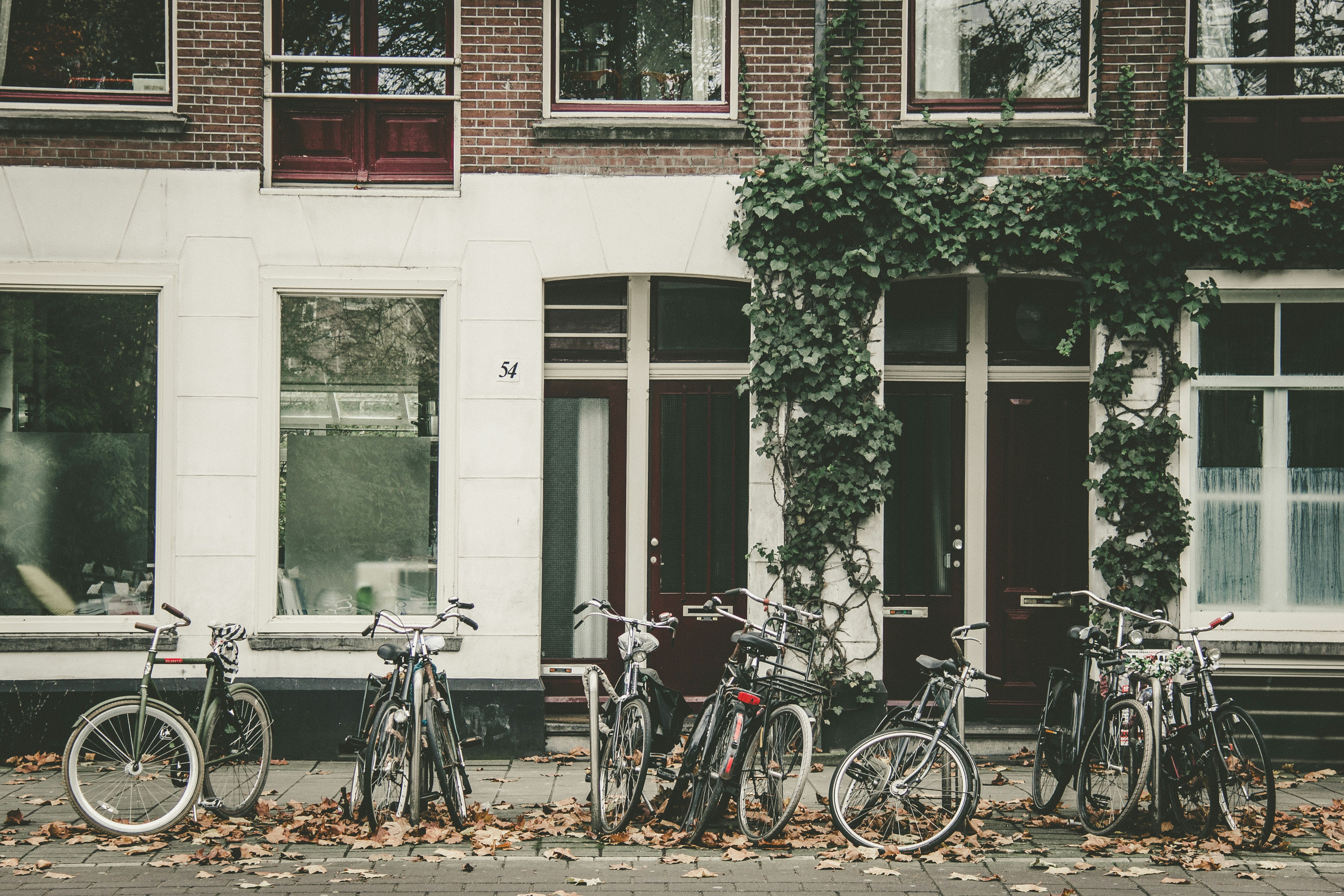 Free Unsplash photo from Lucille Iselin