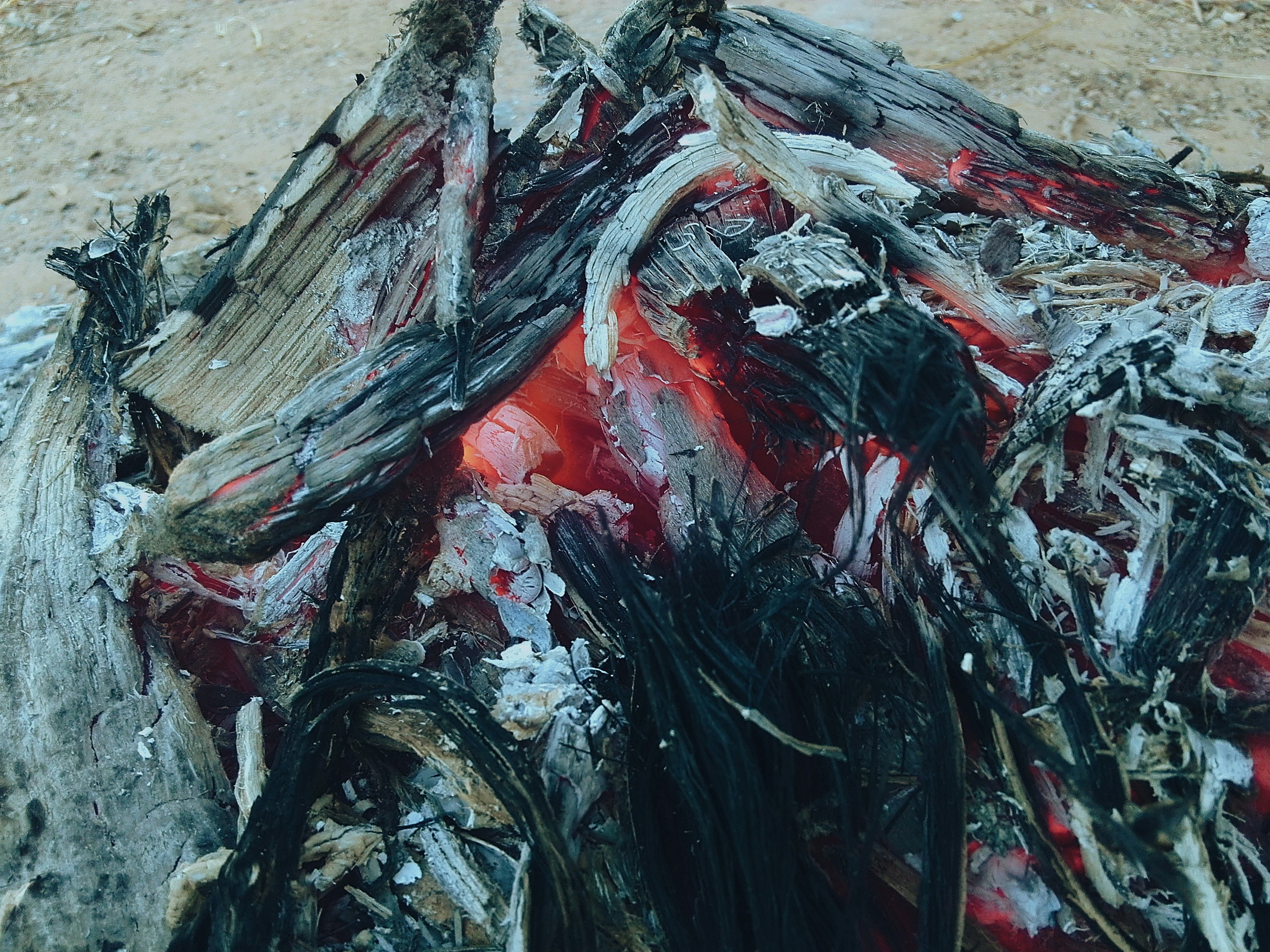 Free Unsplash photo from Mohamed Tali