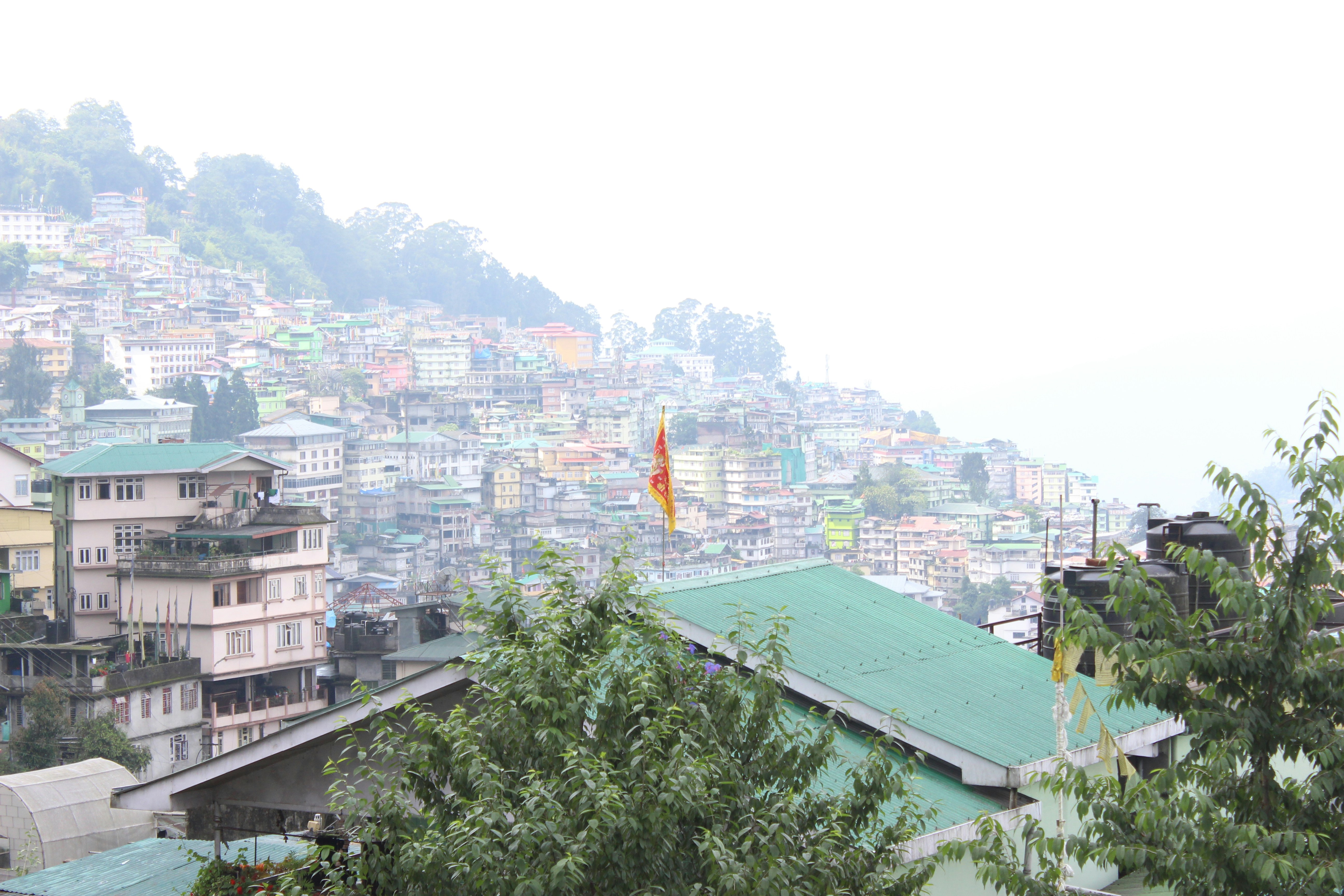 Free Unsplash photo from Rohit Bang