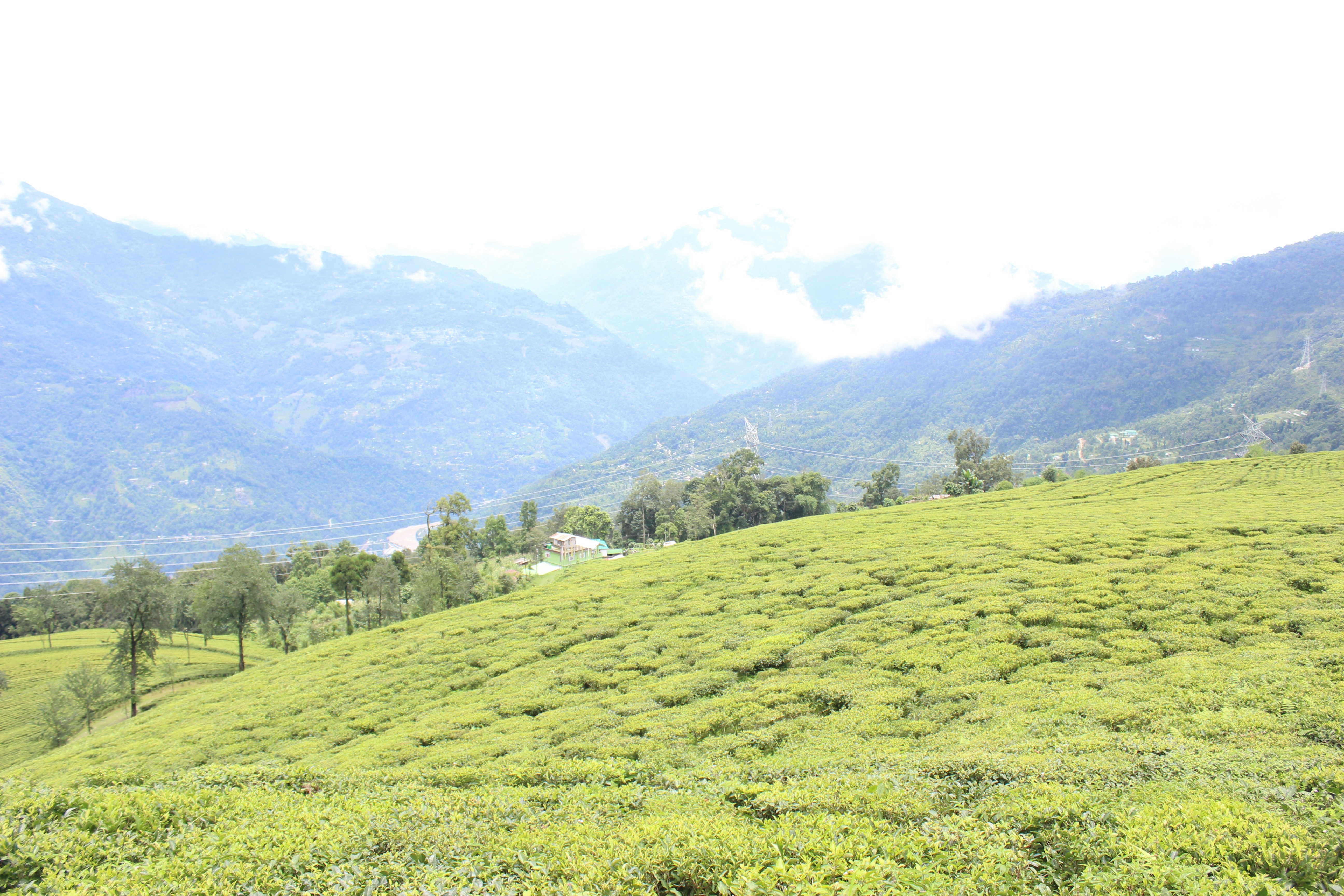 Free Unsplash photo from Rohit Bang