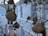 A collection of woven bird nests hangs from thin branches, set against a backdrop of white buildings. The scene includes some red flowers and greenery. The nests have an intricate design and are made of straw-like materials, creating an organic feel within the urban setting.