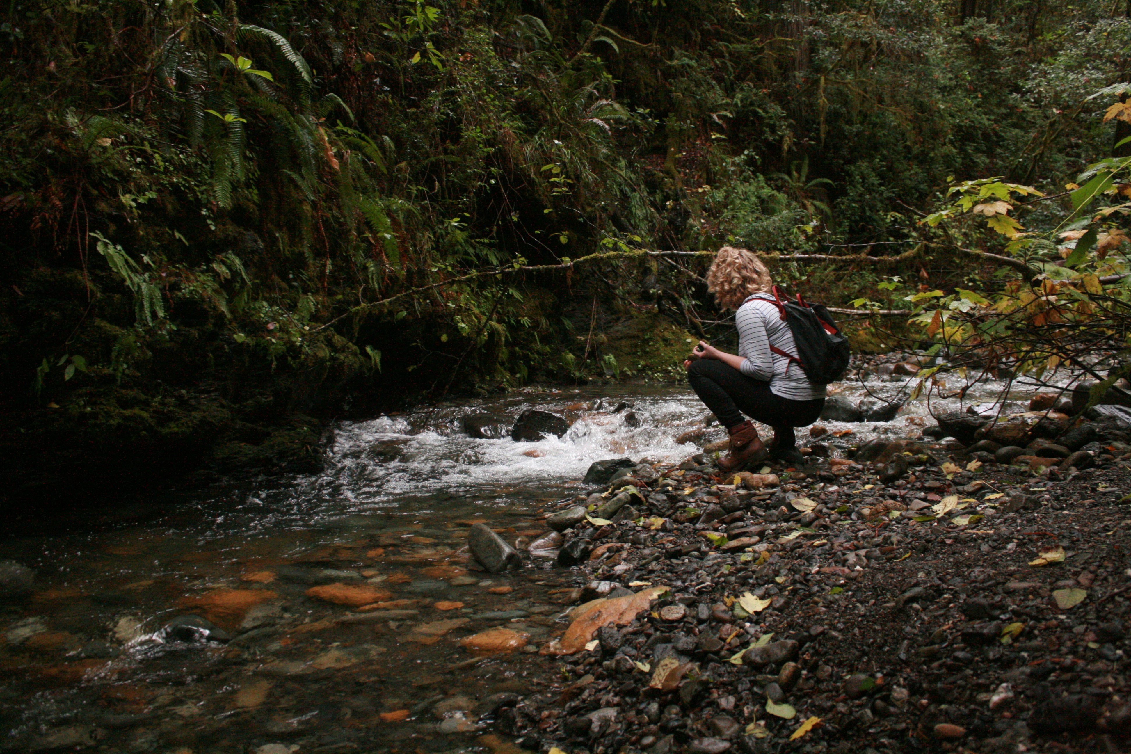 Free Unsplash photo from Ruthie