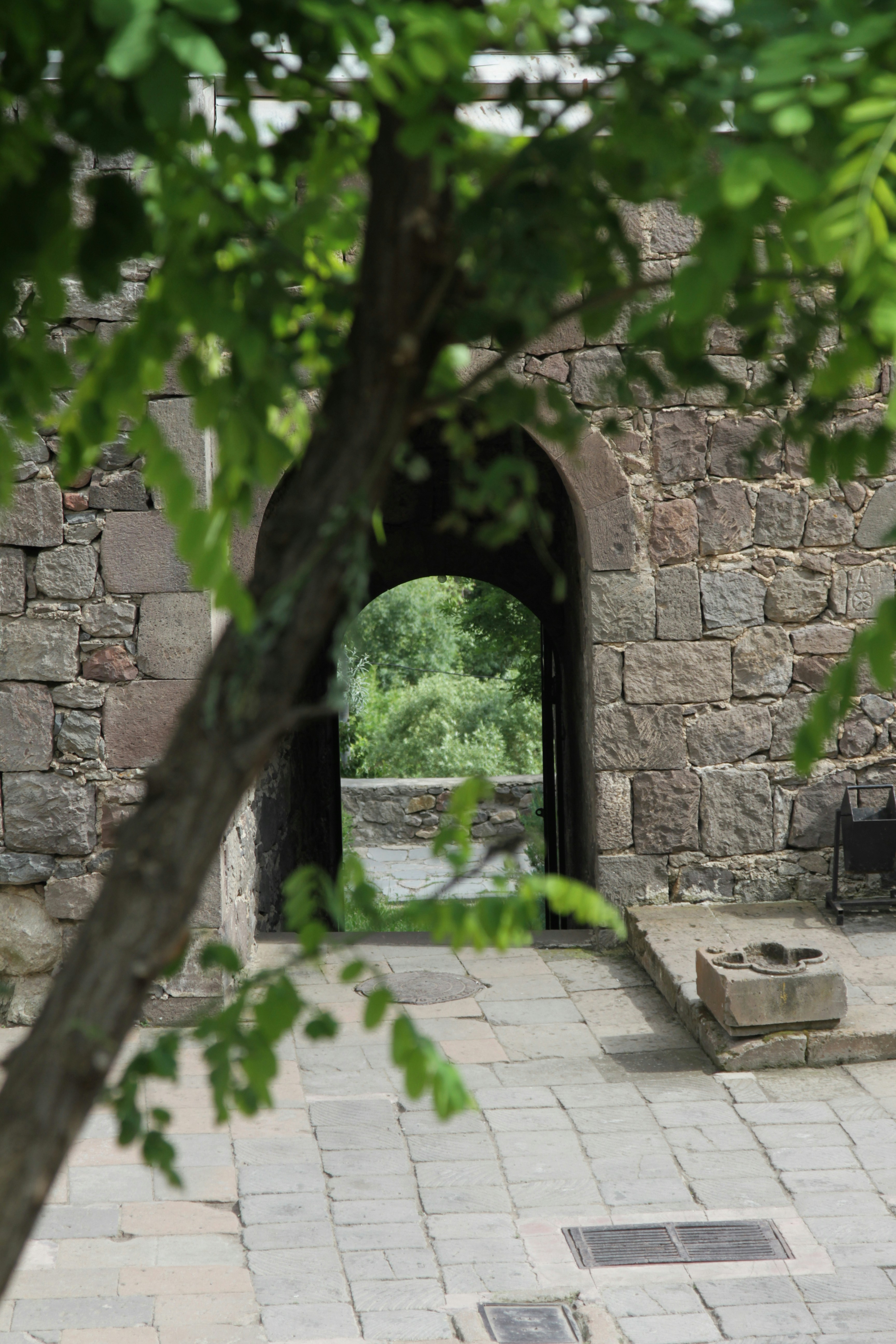 Free Unsplash photo from Frances Rawlins