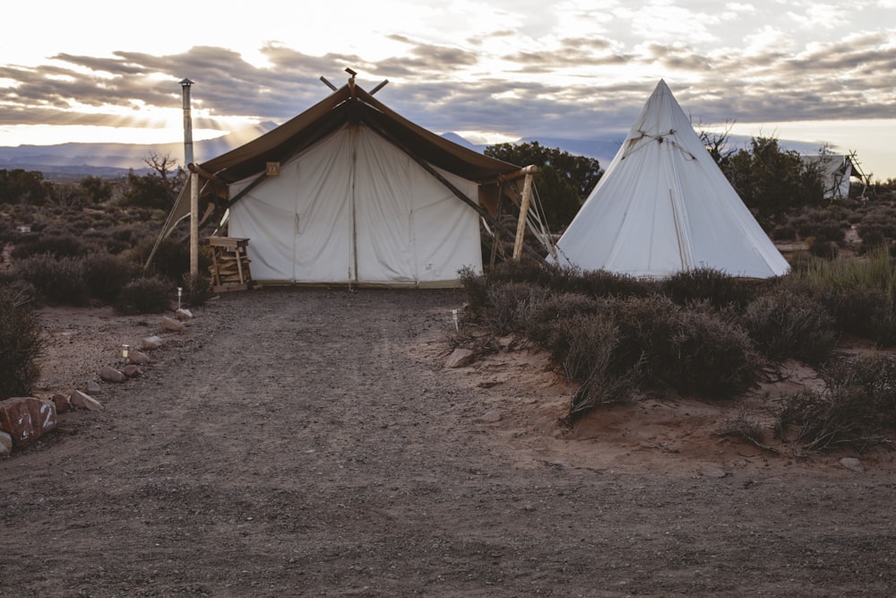 white tipi tent surrounded by grass