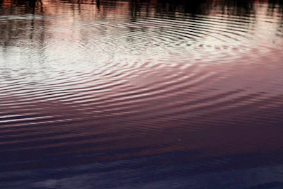 Ripples spreading across a tranquil lake under a pastel sunset sky.