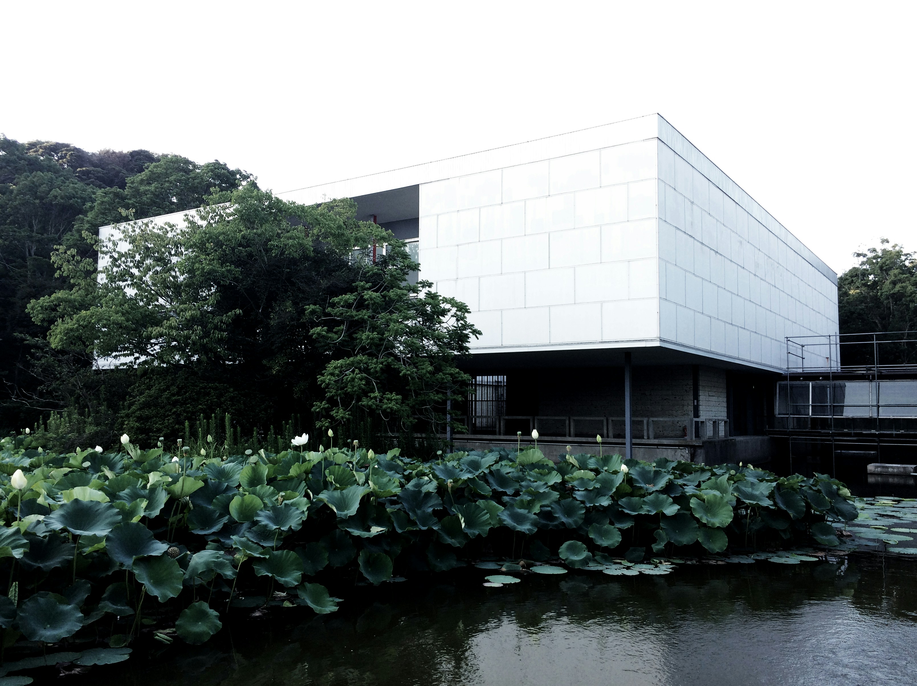 Free Unsplash photo from akim HYAZINTH