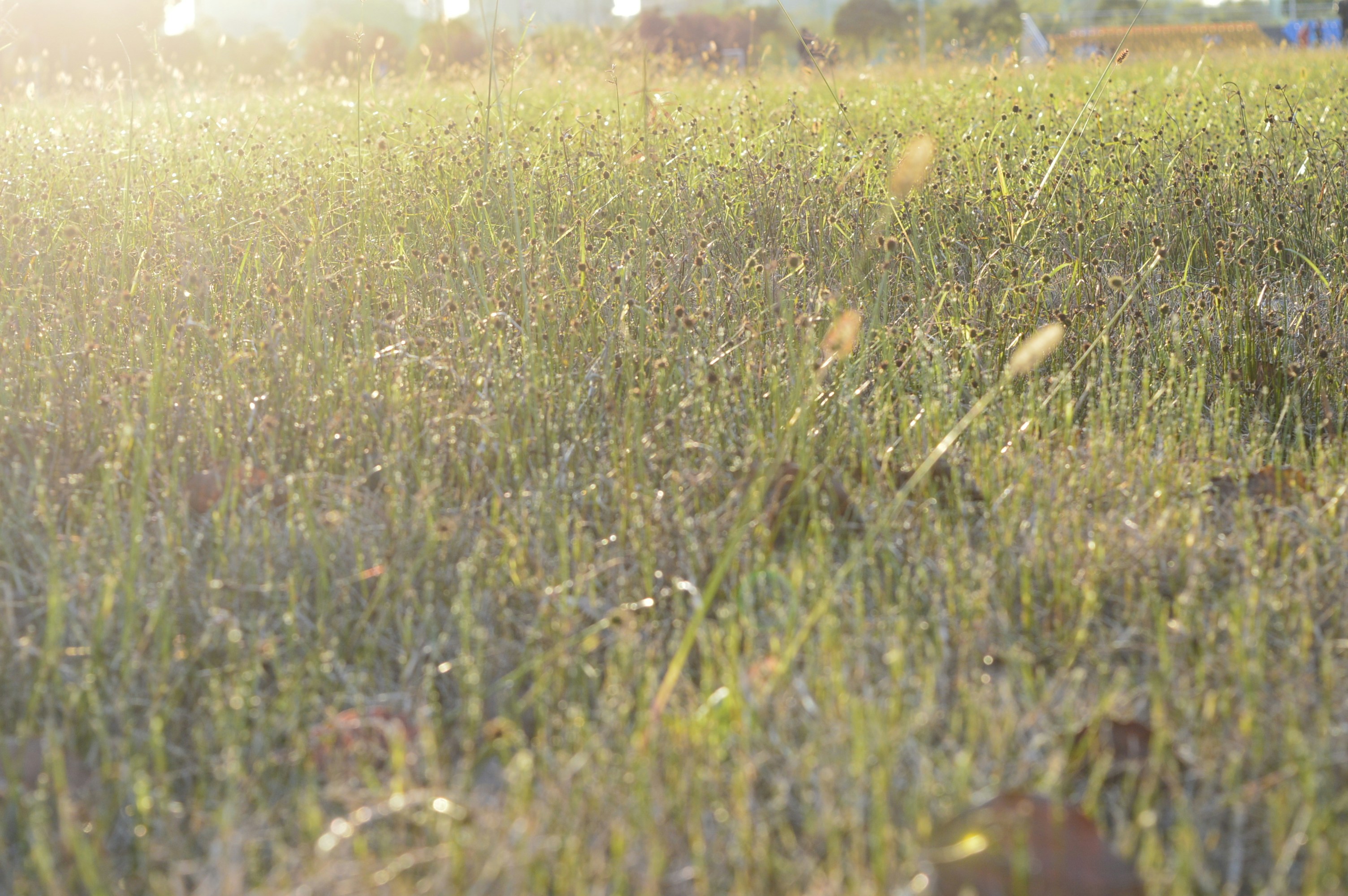 Free Unsplash photo from Luo Ying