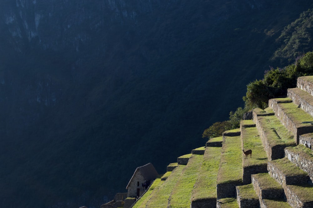 aerial photography of white on mountain