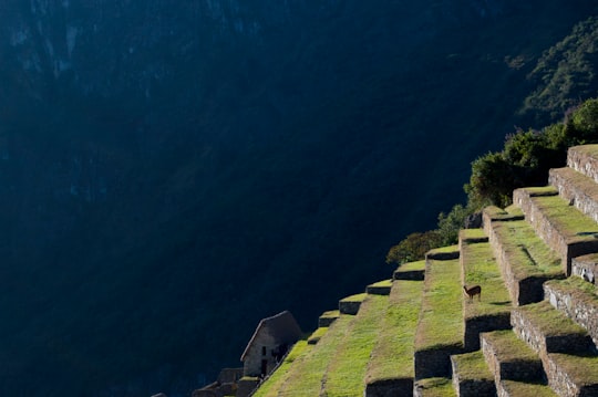 aerial photography of white on mountain in Machu Picchu Peru
