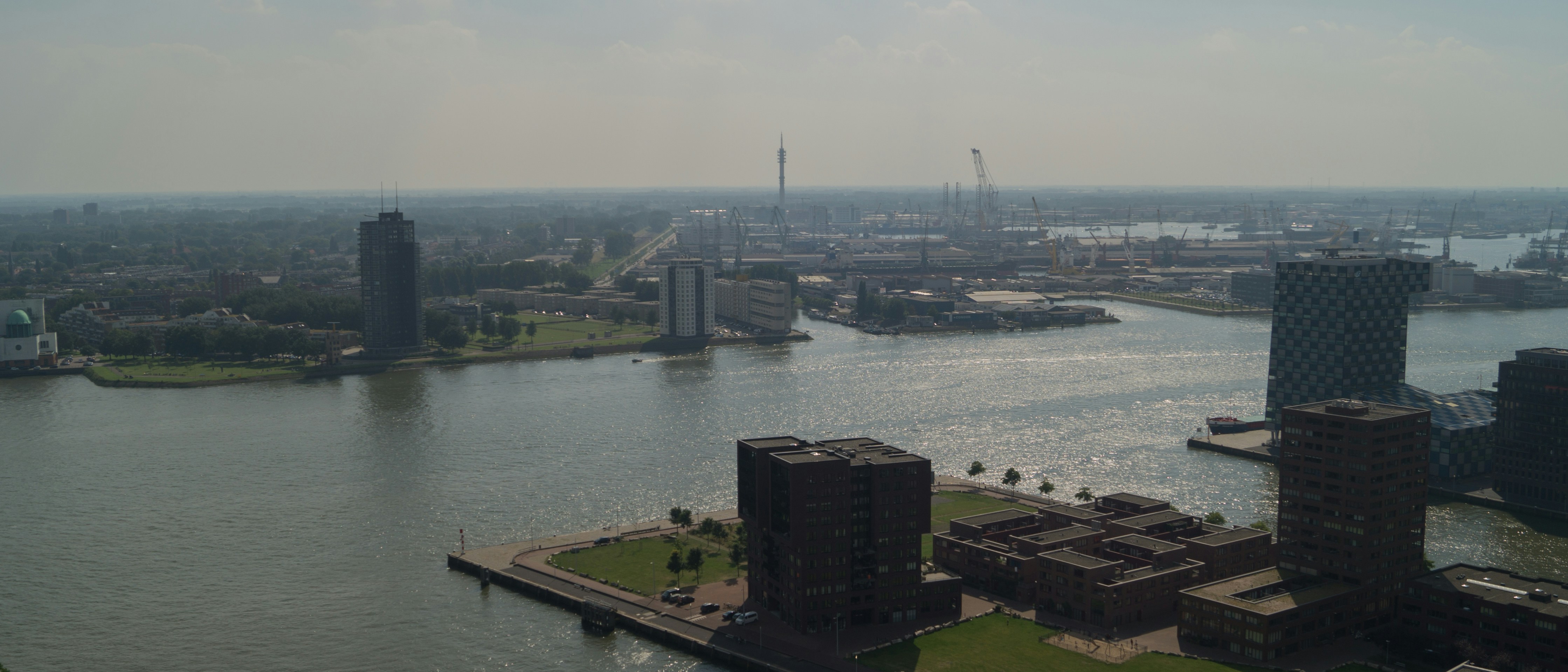 Free Unsplash photo from Wouter de Koster