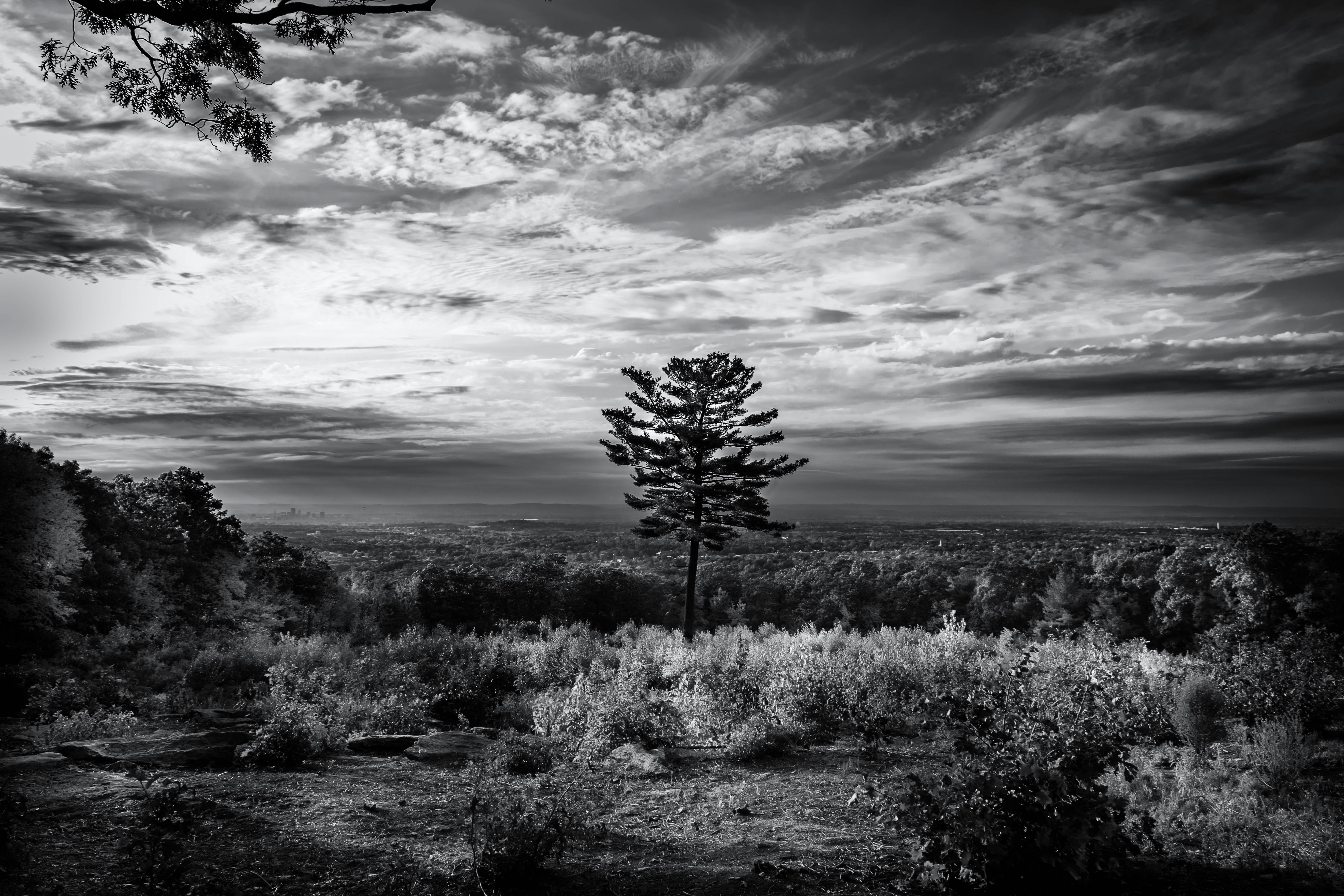 Free Unsplash photo from aaron mannes