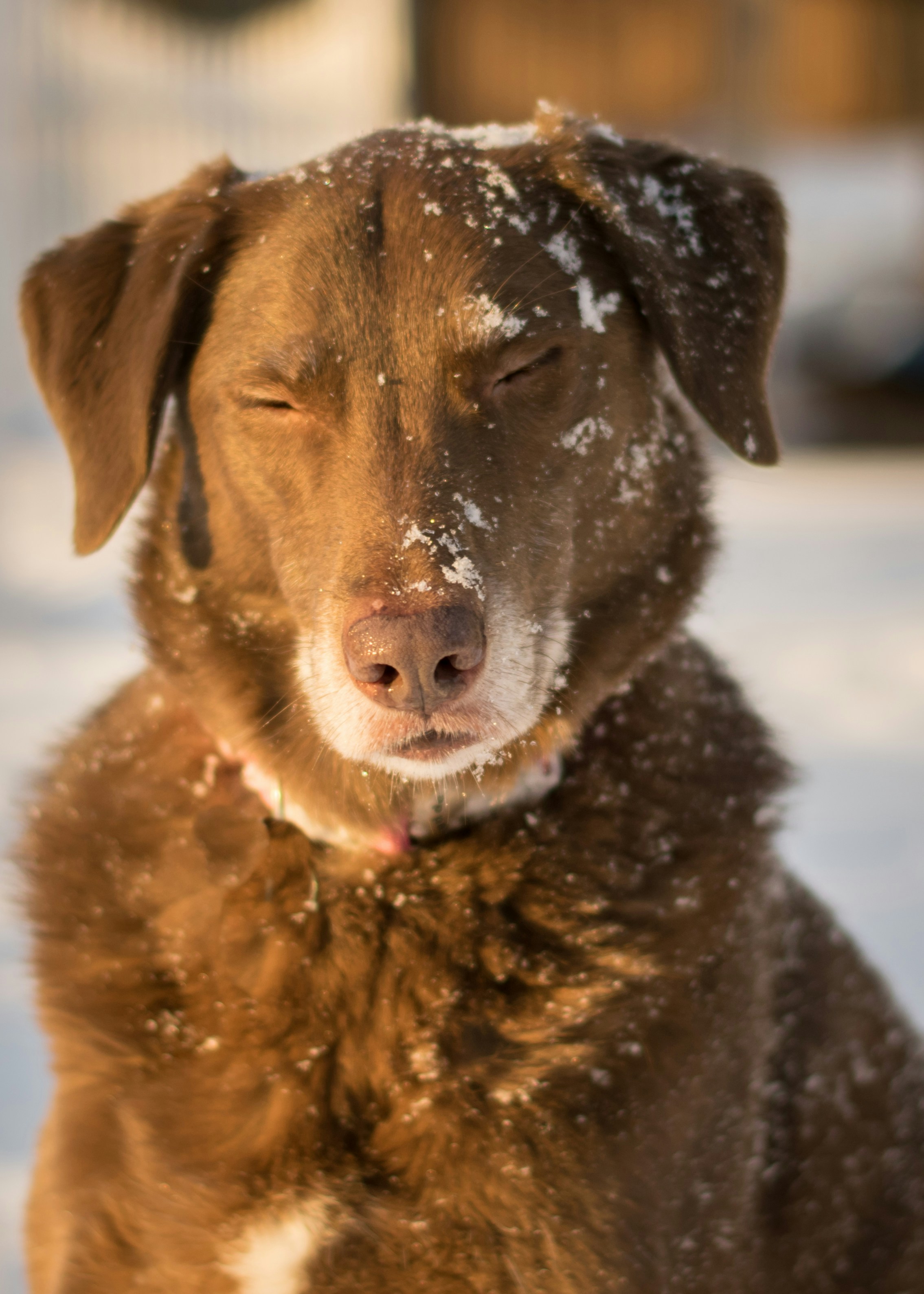 Free Unsplash photo from aaron mannes