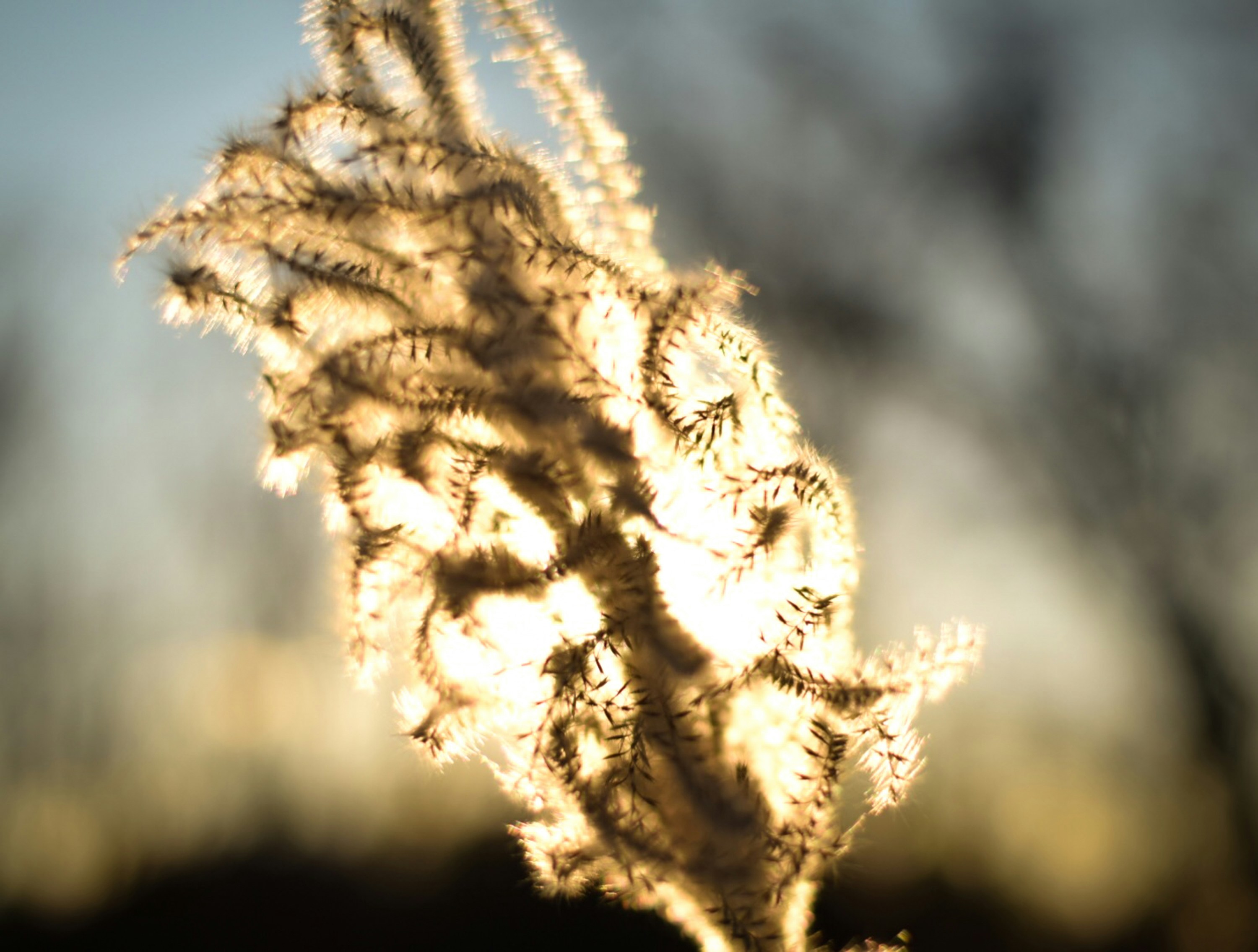 Free Unsplash photo from aaron mannes