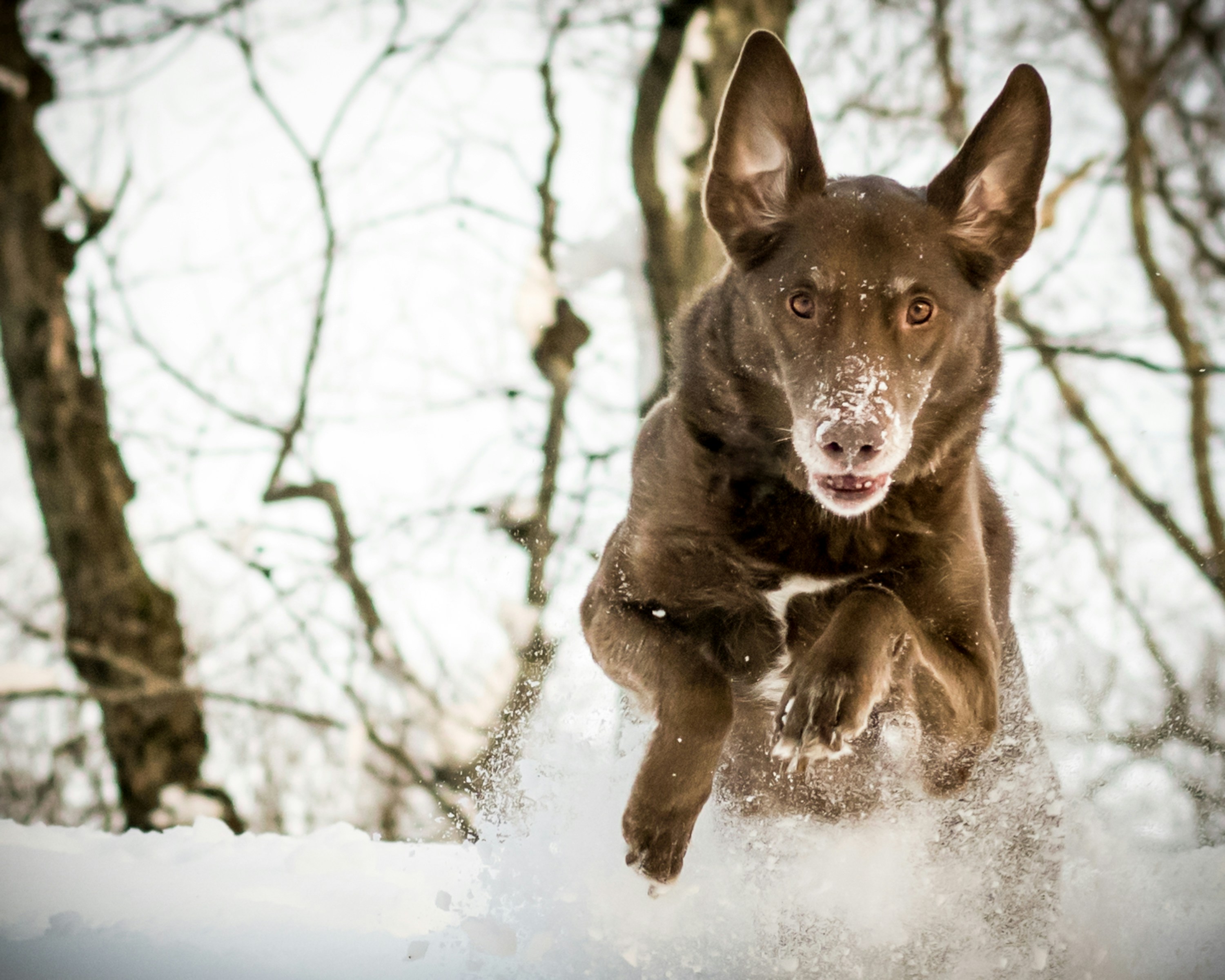 Free Unsplash photo from aaron mannes