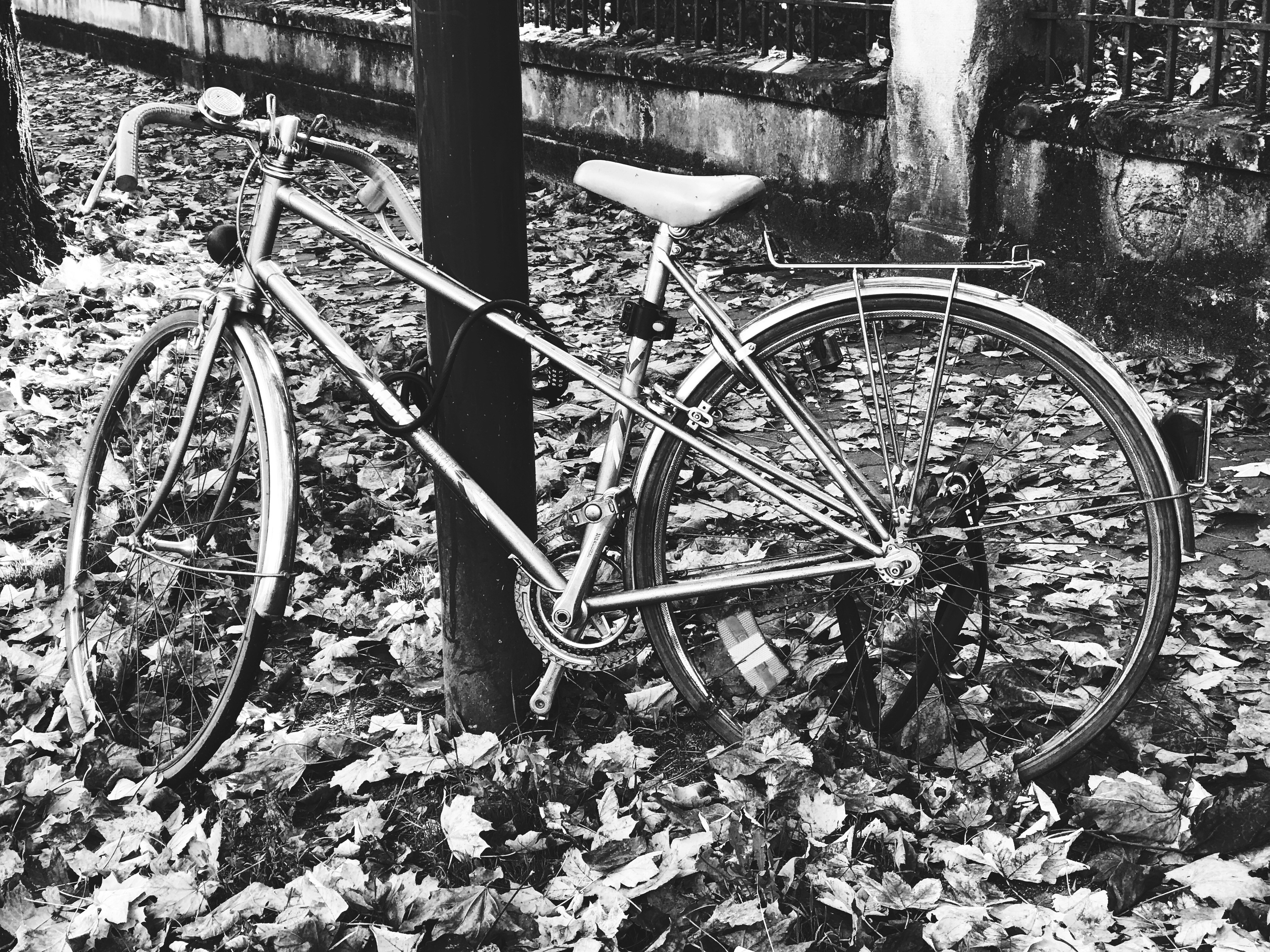 Free Unsplash photo from Thomas Millot