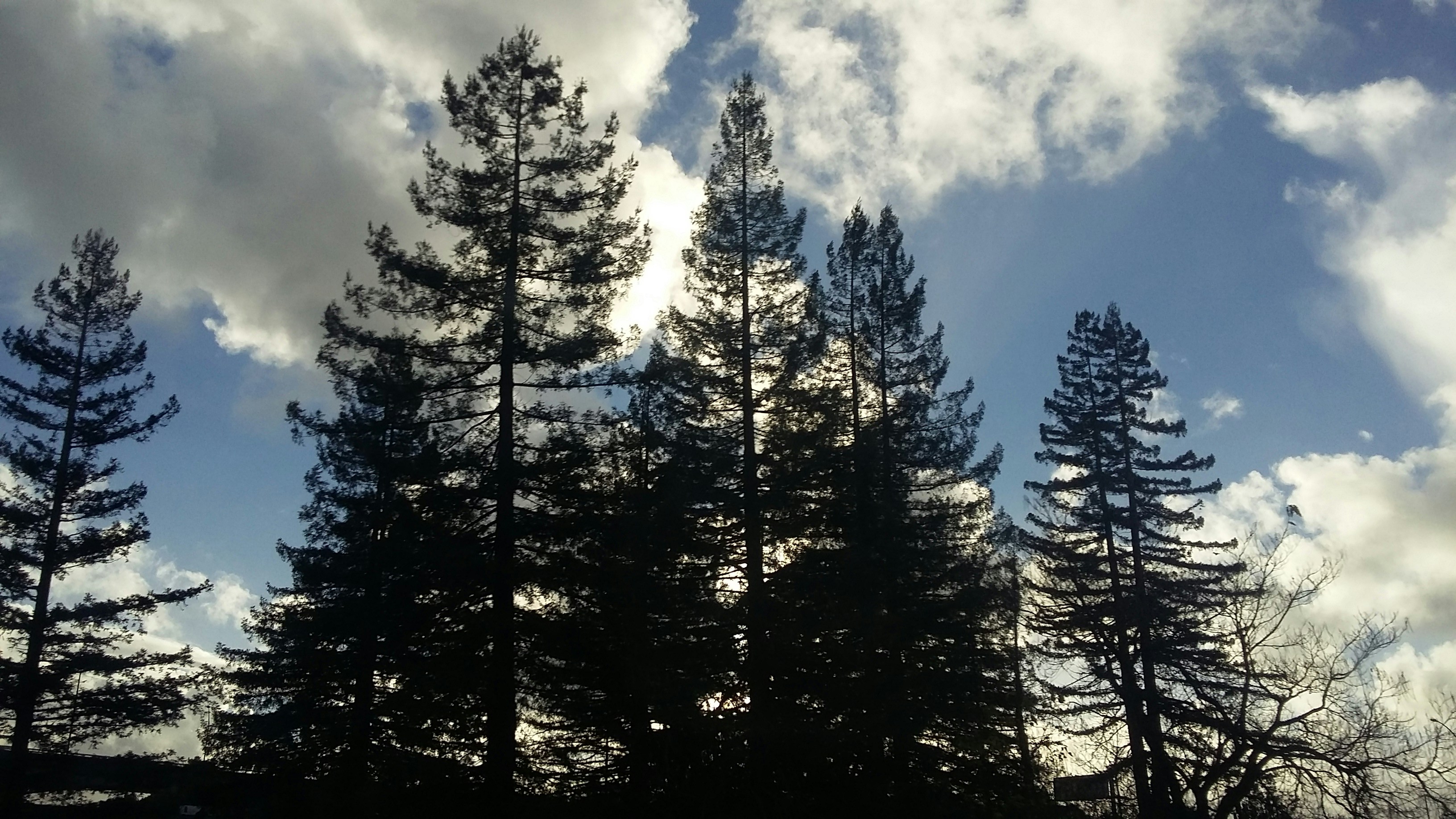 Free Unsplash photo from Diana Reyes