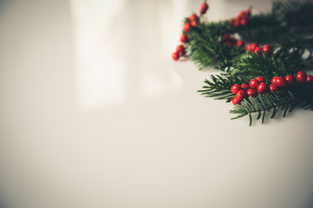 closeup photography of green Christmas tree leaf