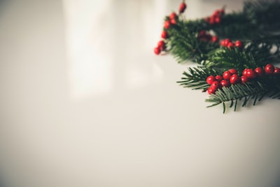 closeup photography of green christmas tree leaf mistletoe teams background