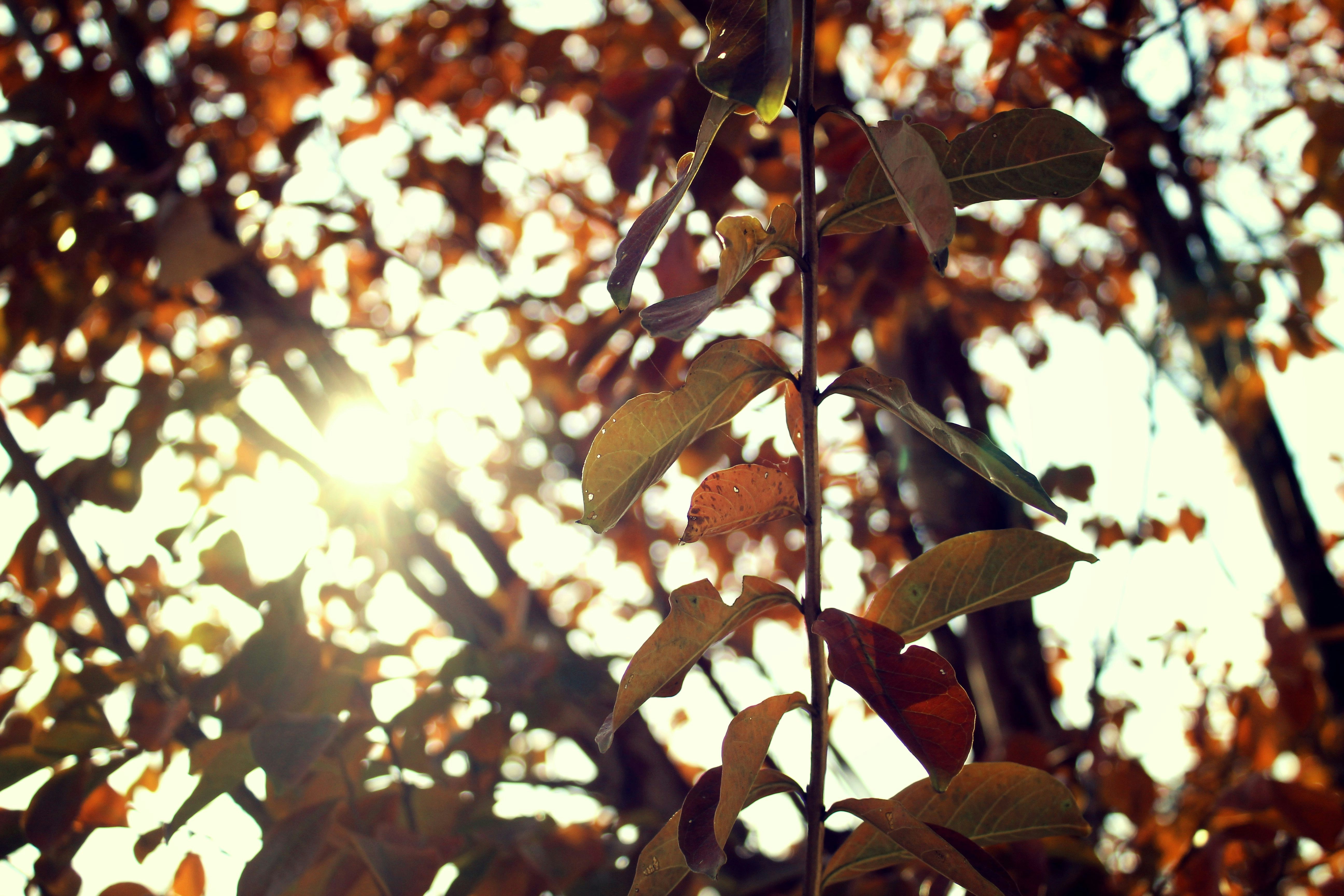 Free Unsplash photo from Gretchen