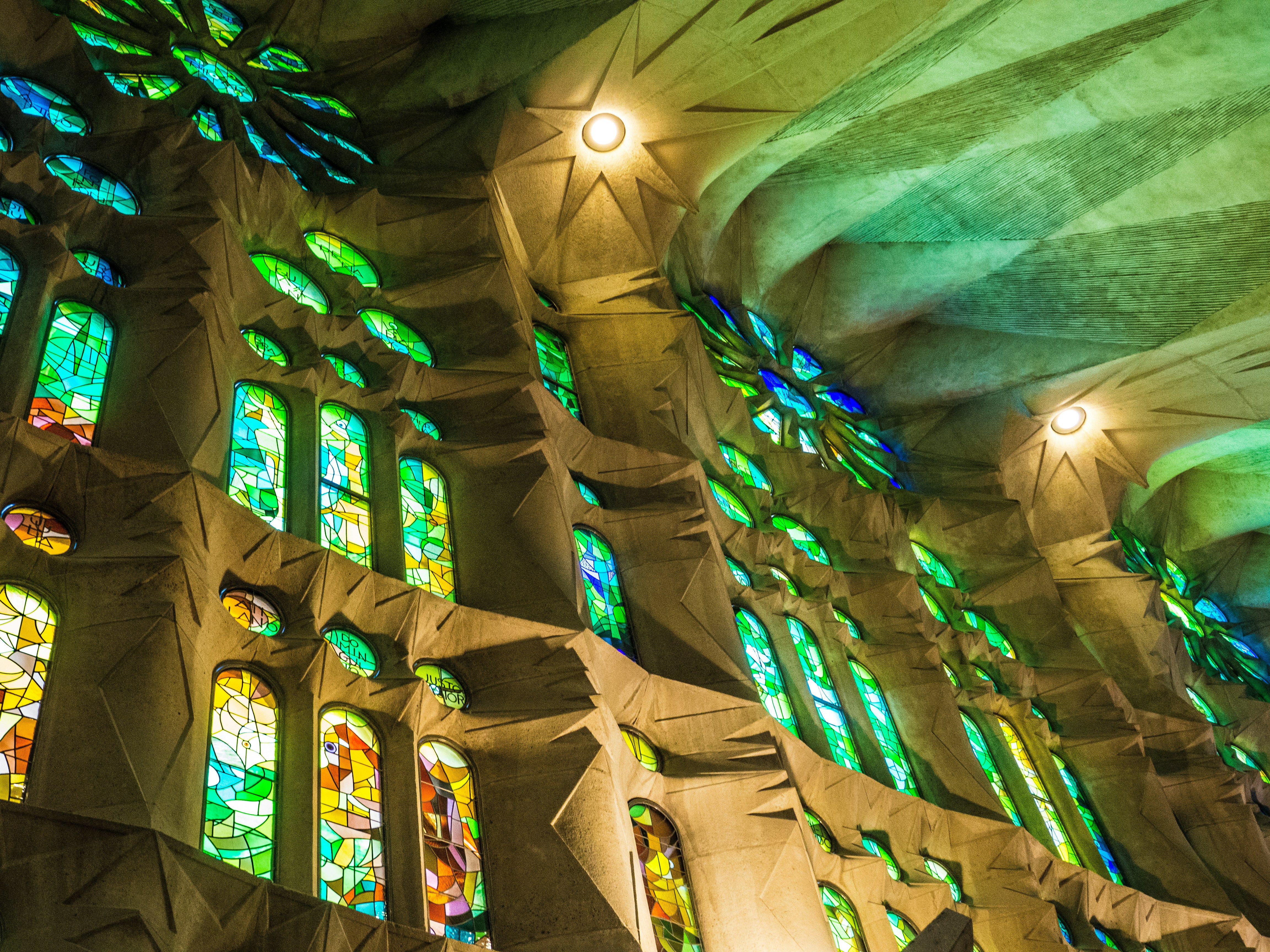 Free Unsplash photo from Tammie Lister