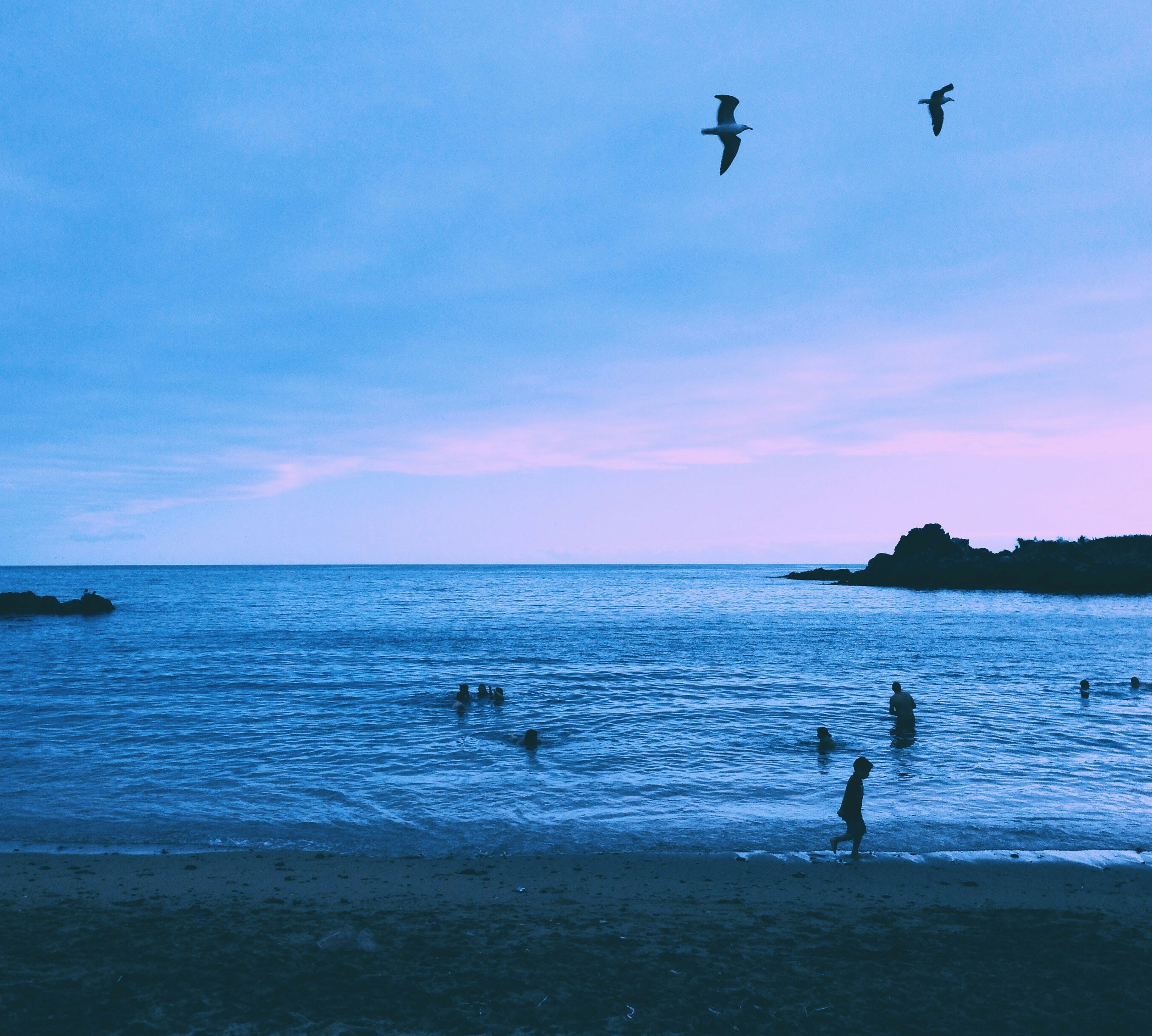 Free Unsplash photo from Pepe Reyes