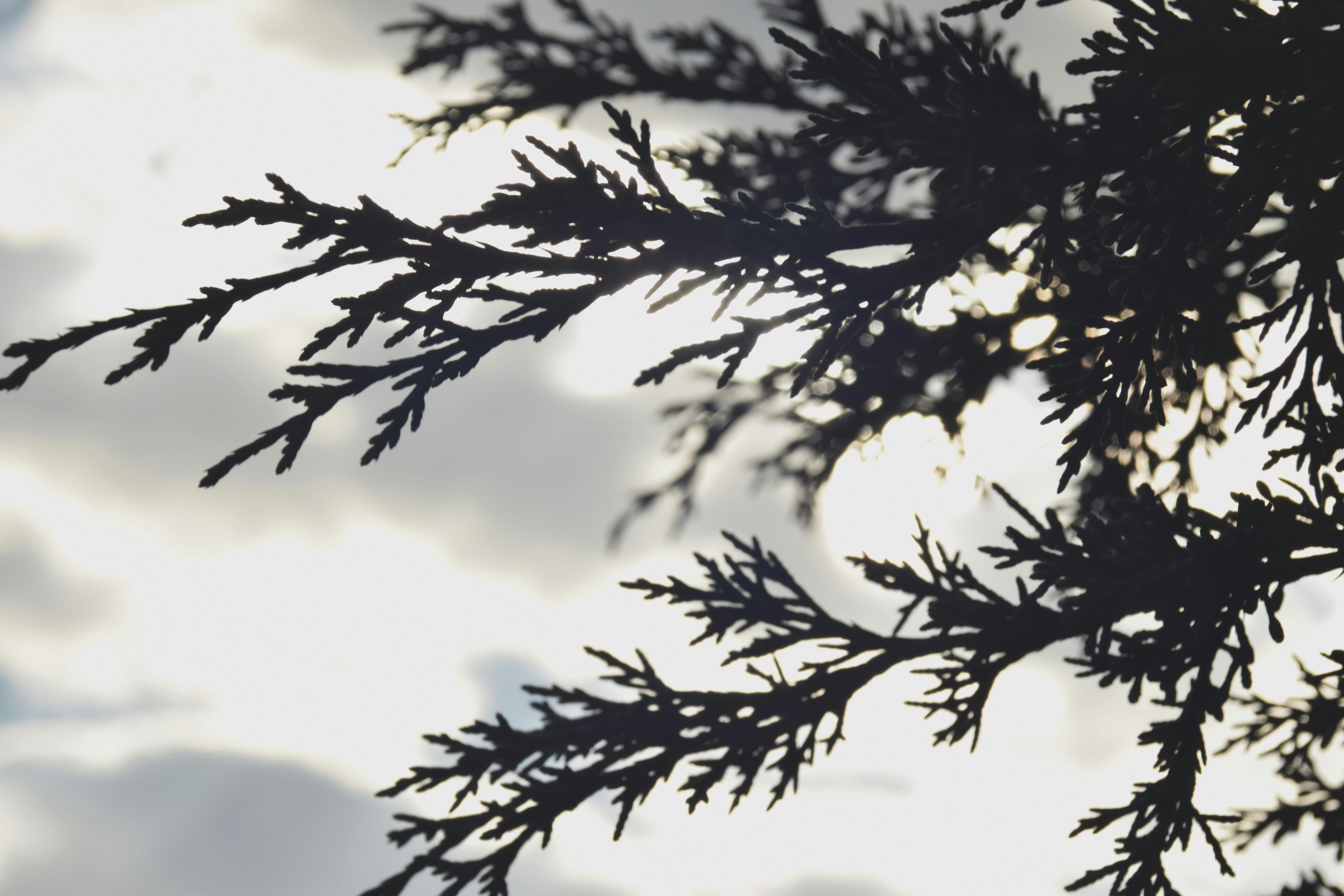 Free Unsplash photo from Lorena Gutiérrez