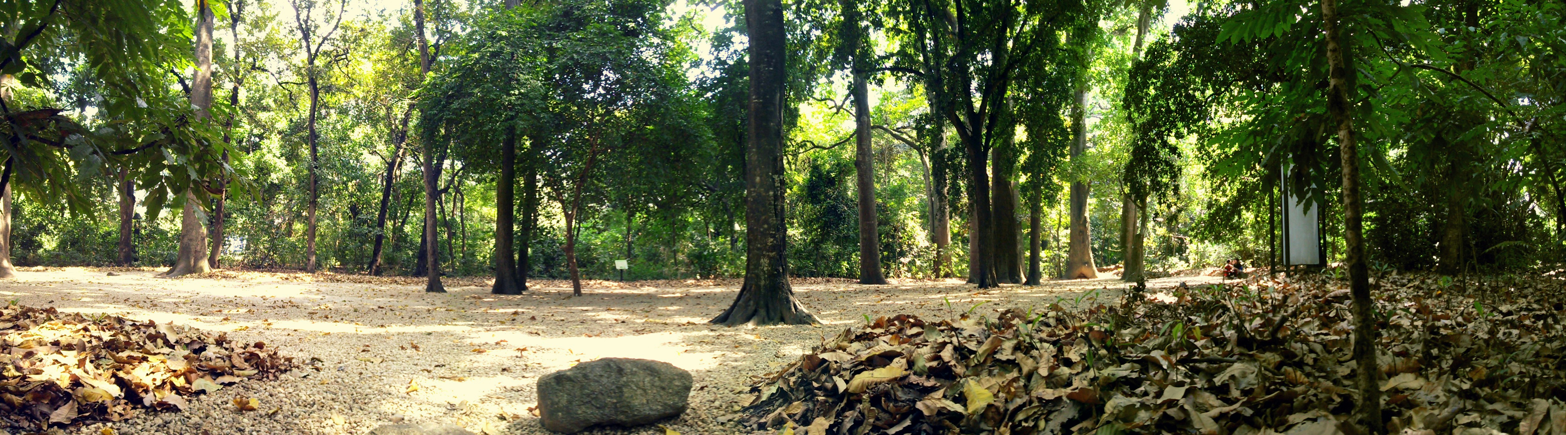 Free Unsplash photo from Arturo José