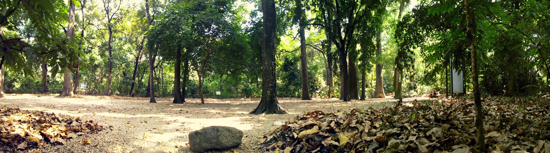woman wearing yellow long-sleeved dress under white clouds and blue sky during daytime