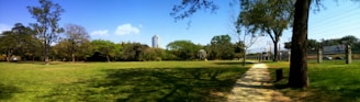 A lush green park with a wide open grassy field, scattered trees providing shade, and a clear blue sky above. A path runs through the park, lined with tall trees. In the background, there's a tall building and some urban infrastructure visible.