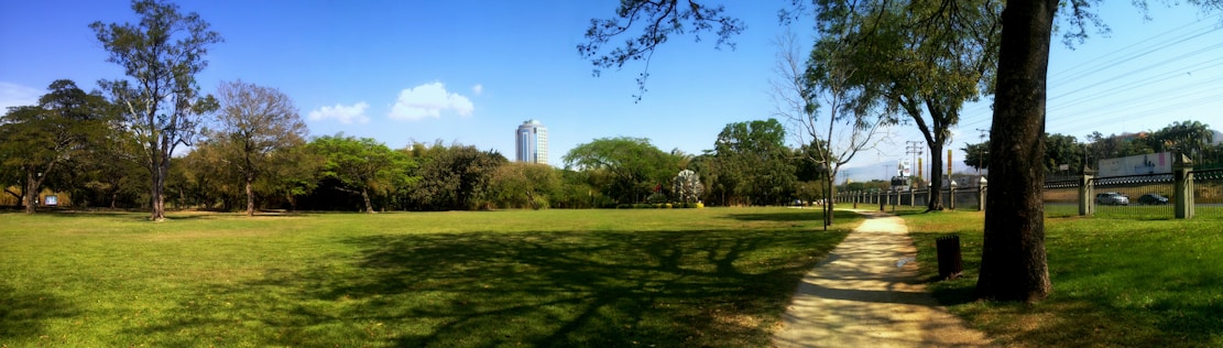 A lush green park with a wide open grassy field, scattered trees providing shade, and a clear blue sky above. A path runs through the park, lined with tall trees. In the background, there's a tall building and some urban infrastructure visible.