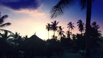 Sunset over the Indian Ocean with silhouettes of palm trees near Moroni