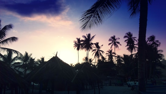 Silhouetted palm trees sway in the breeze against a vivid sunset sky, with hues of purple, pink, and blue blending seamlessly. Traditional huts with thatched roofs are visible in the foreground, nestled among the palm trees.
