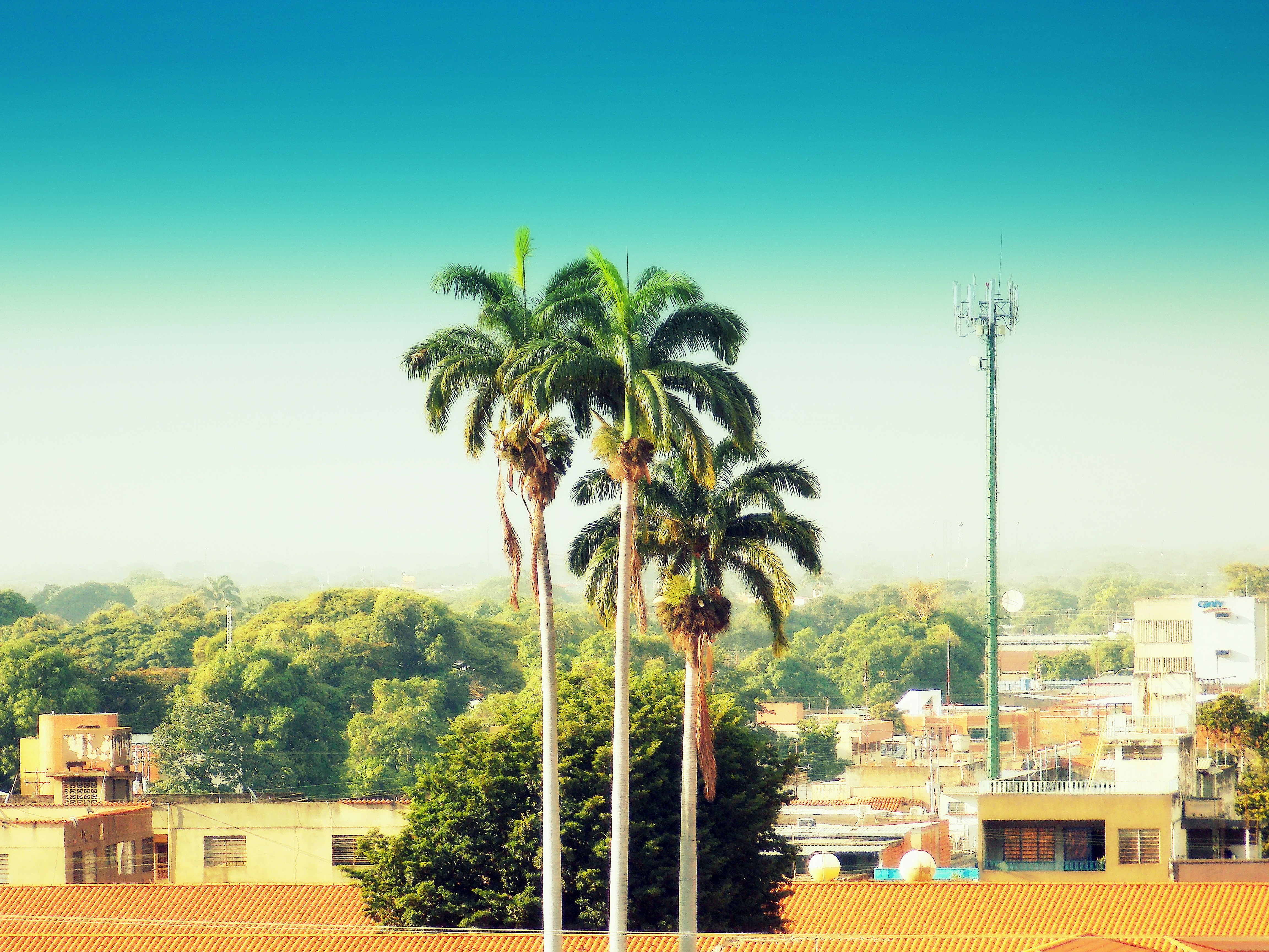 Free Unsplash photo from Arturo José