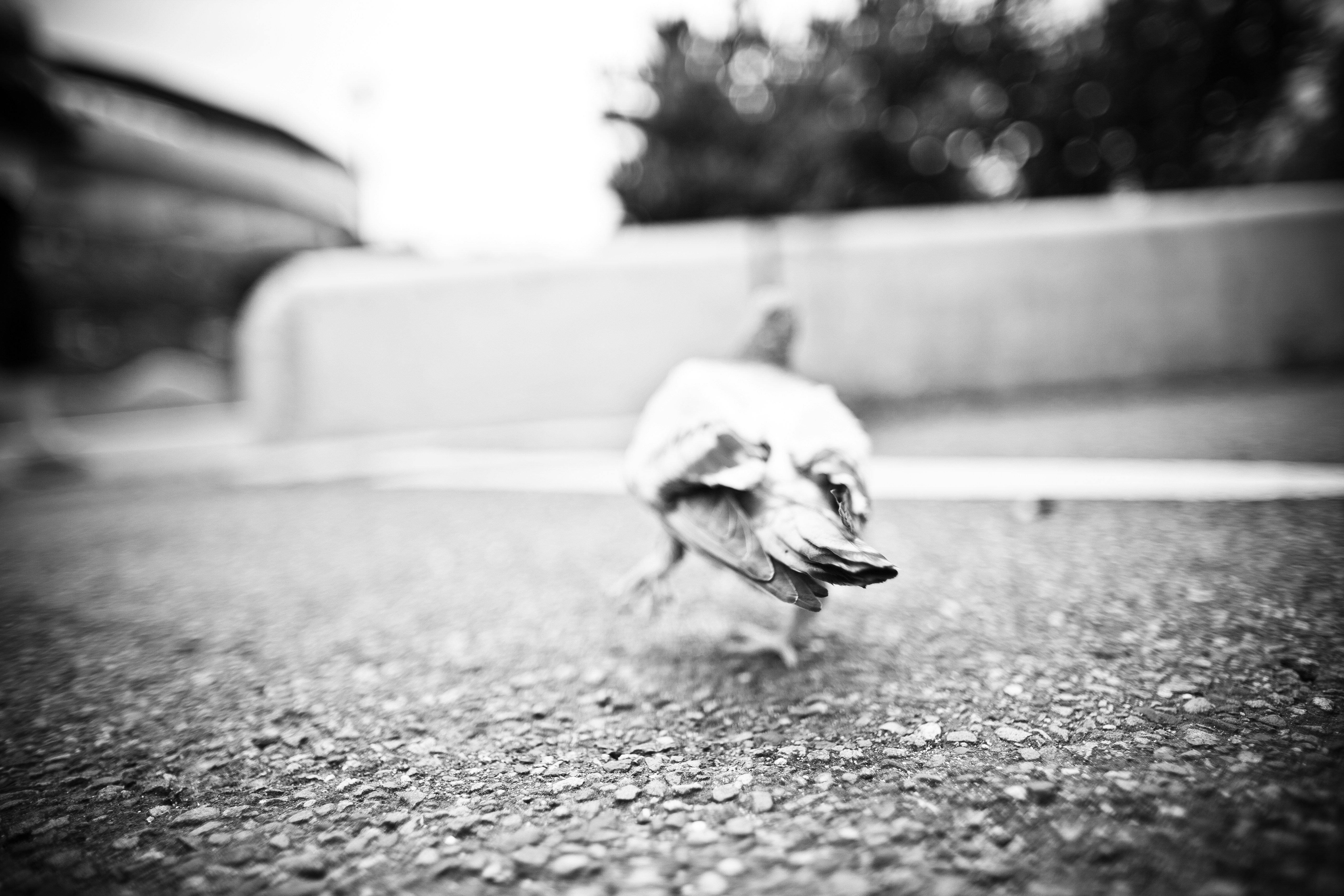 Free Unsplash photo from Wayne Sim