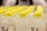 Close-up of clear plastic bottles neatly arranged on a factory shelf.